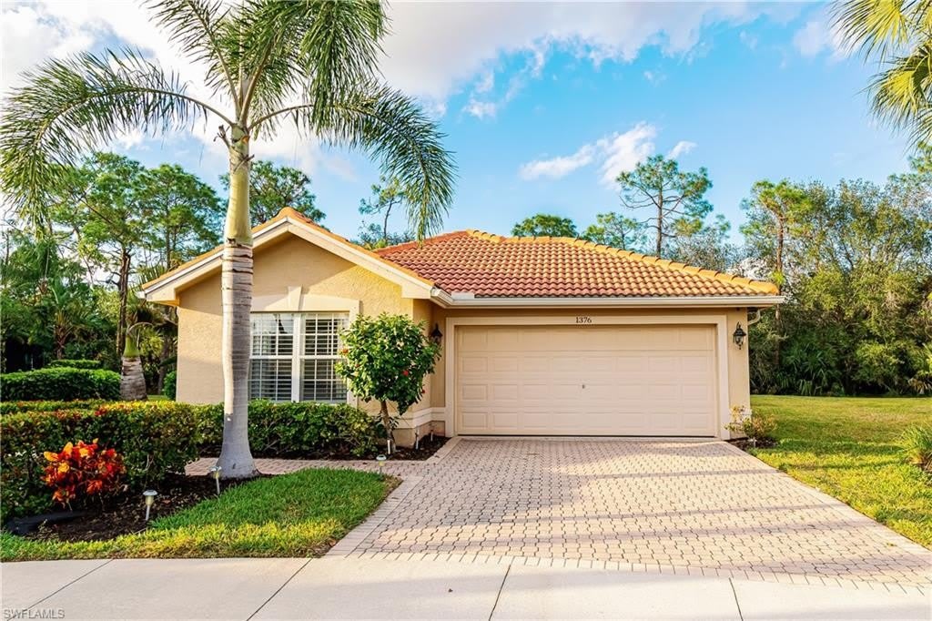 1376 Areca Cv – photo 2