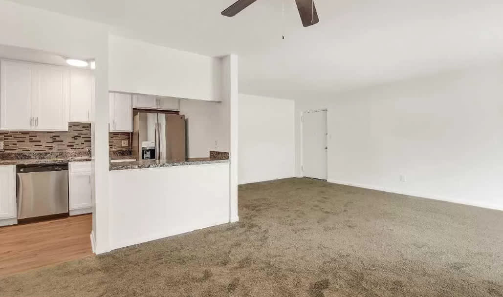 204 Cork Lane – photo 5