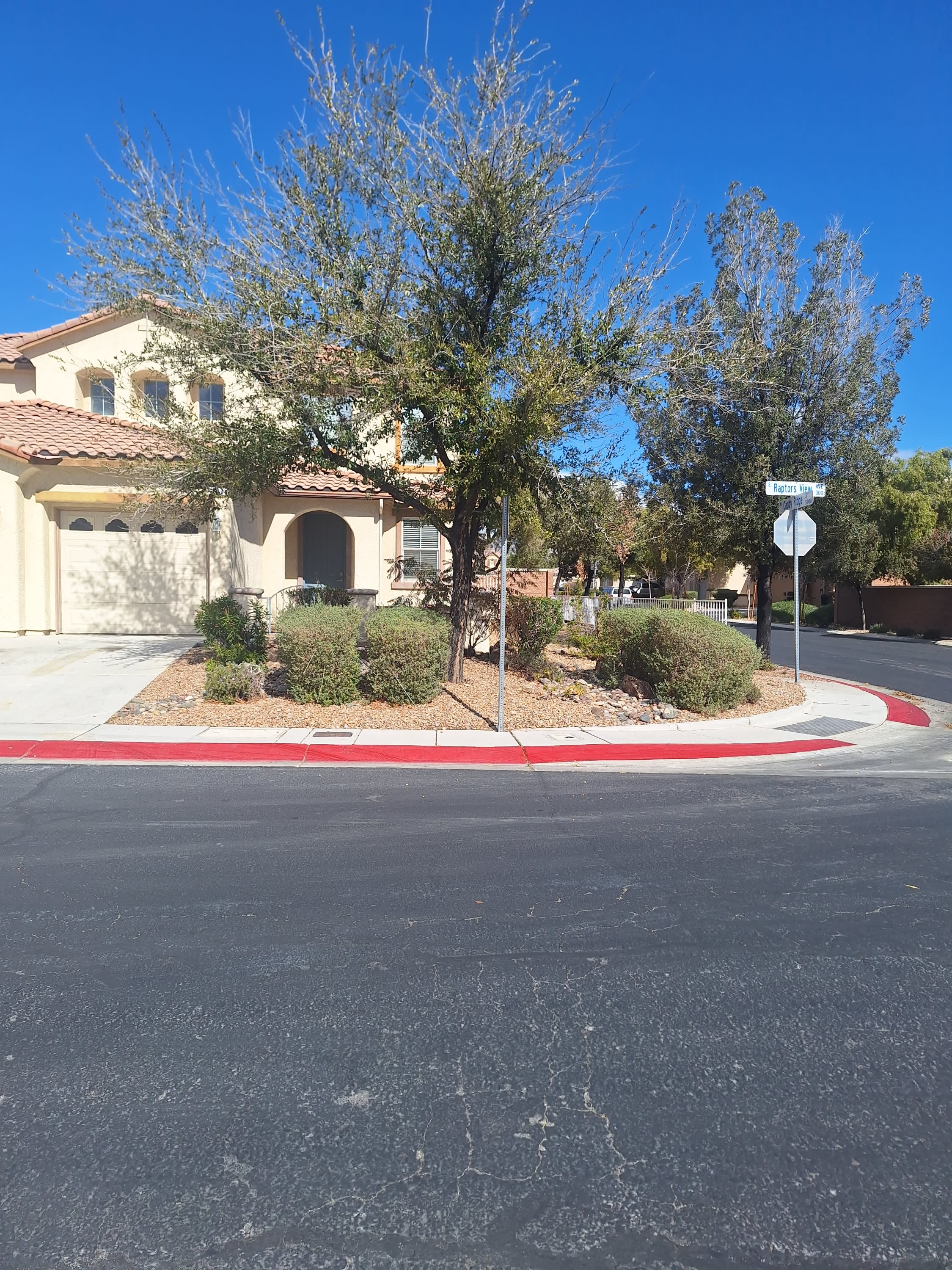 304 Raptors View Avenue – photo 2