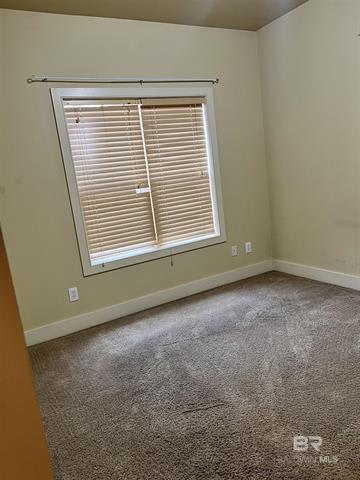 501 Cotton Creek Drive – photo 3
