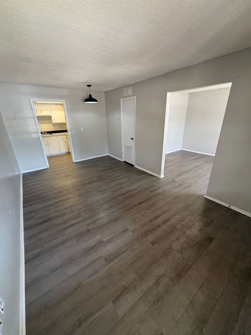Spacious Studio in Maitland! – photo 3