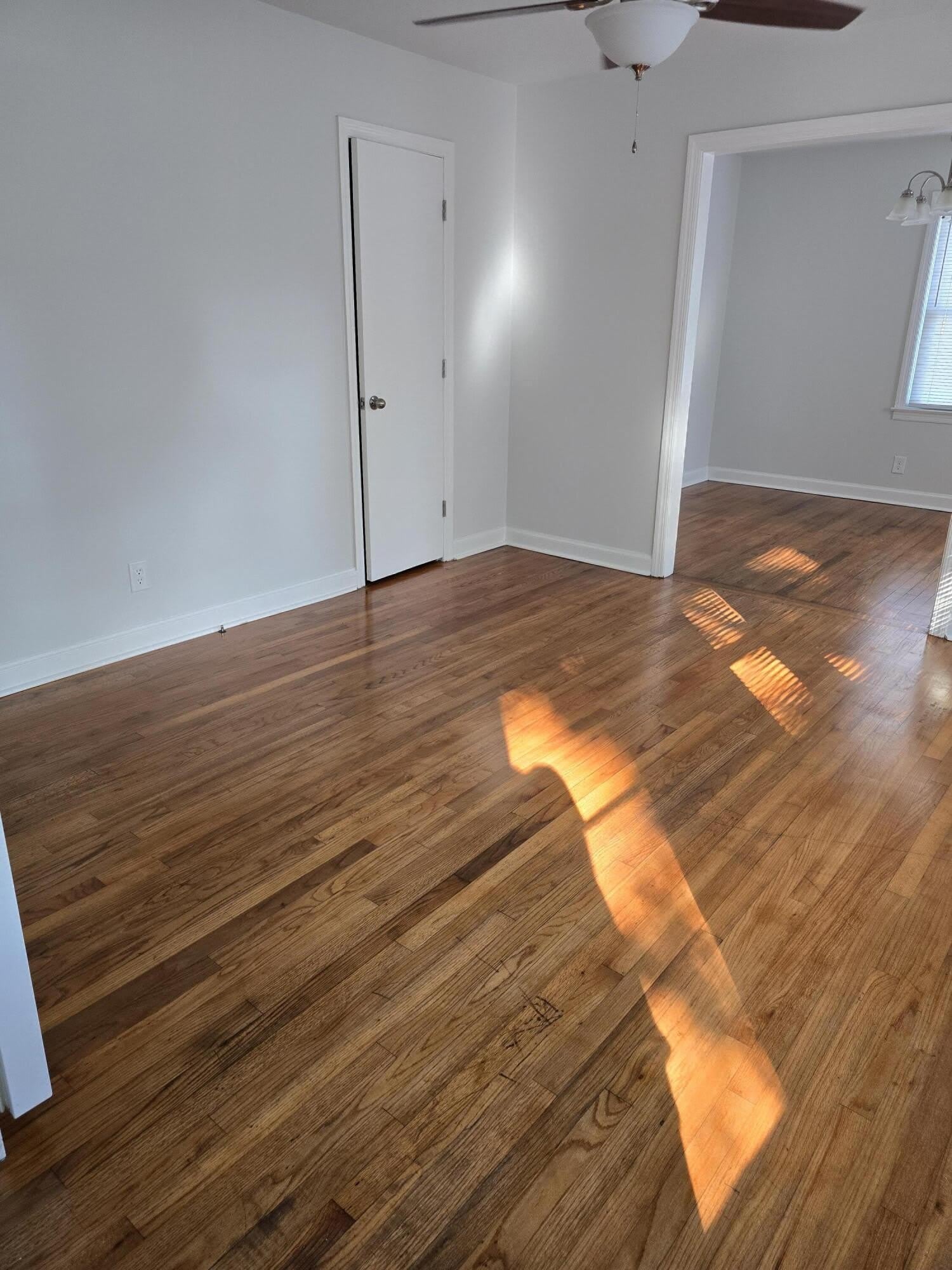 300 Mary Scott Drive – photo 4