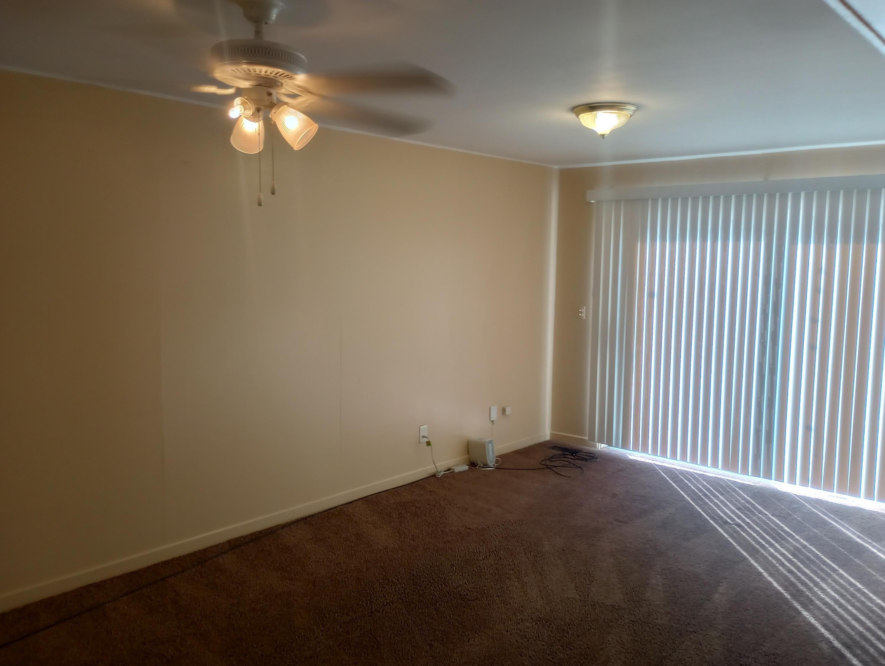 29228 Marshall Street – photo 4