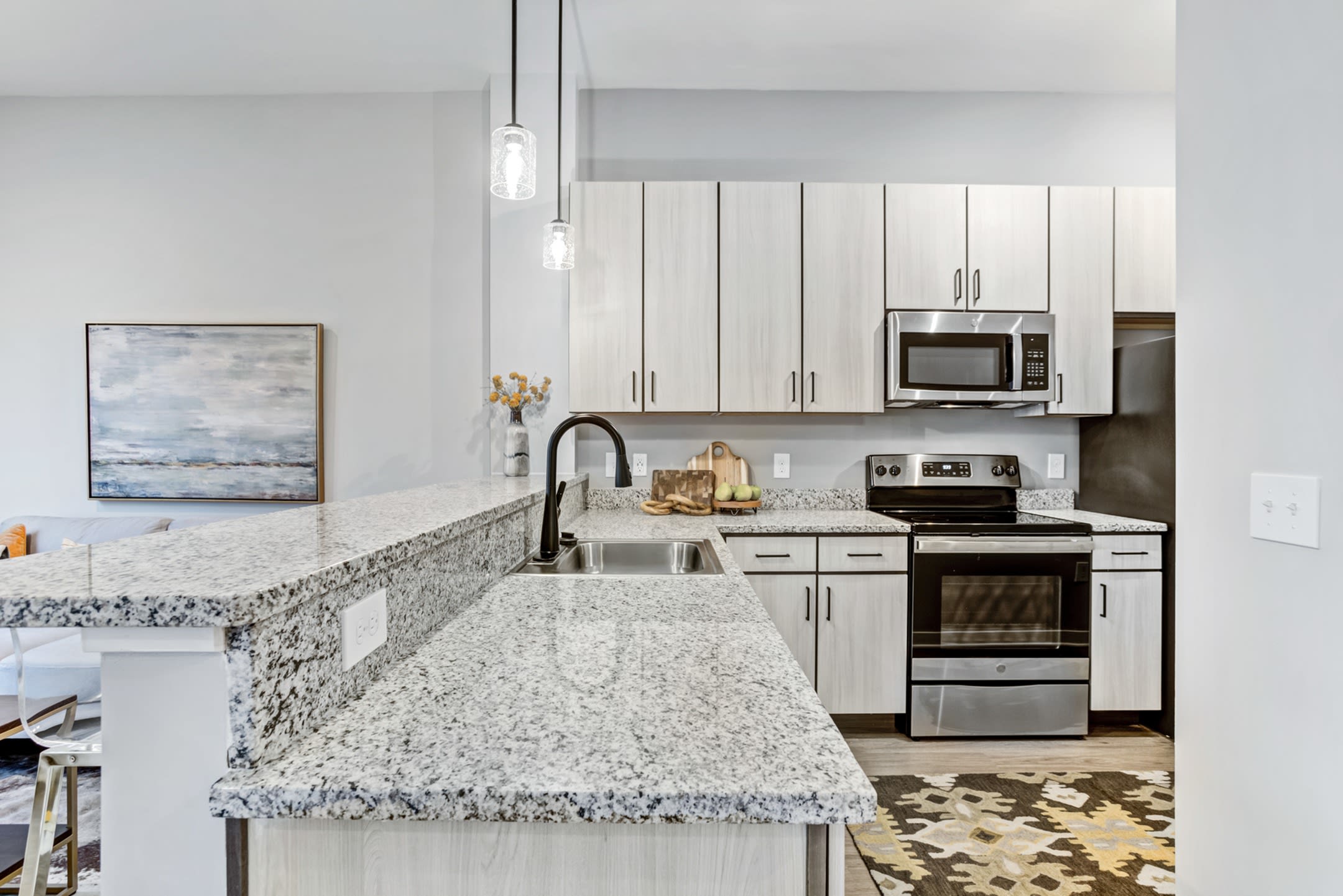 The Views of Music City Apartments – photo 5
