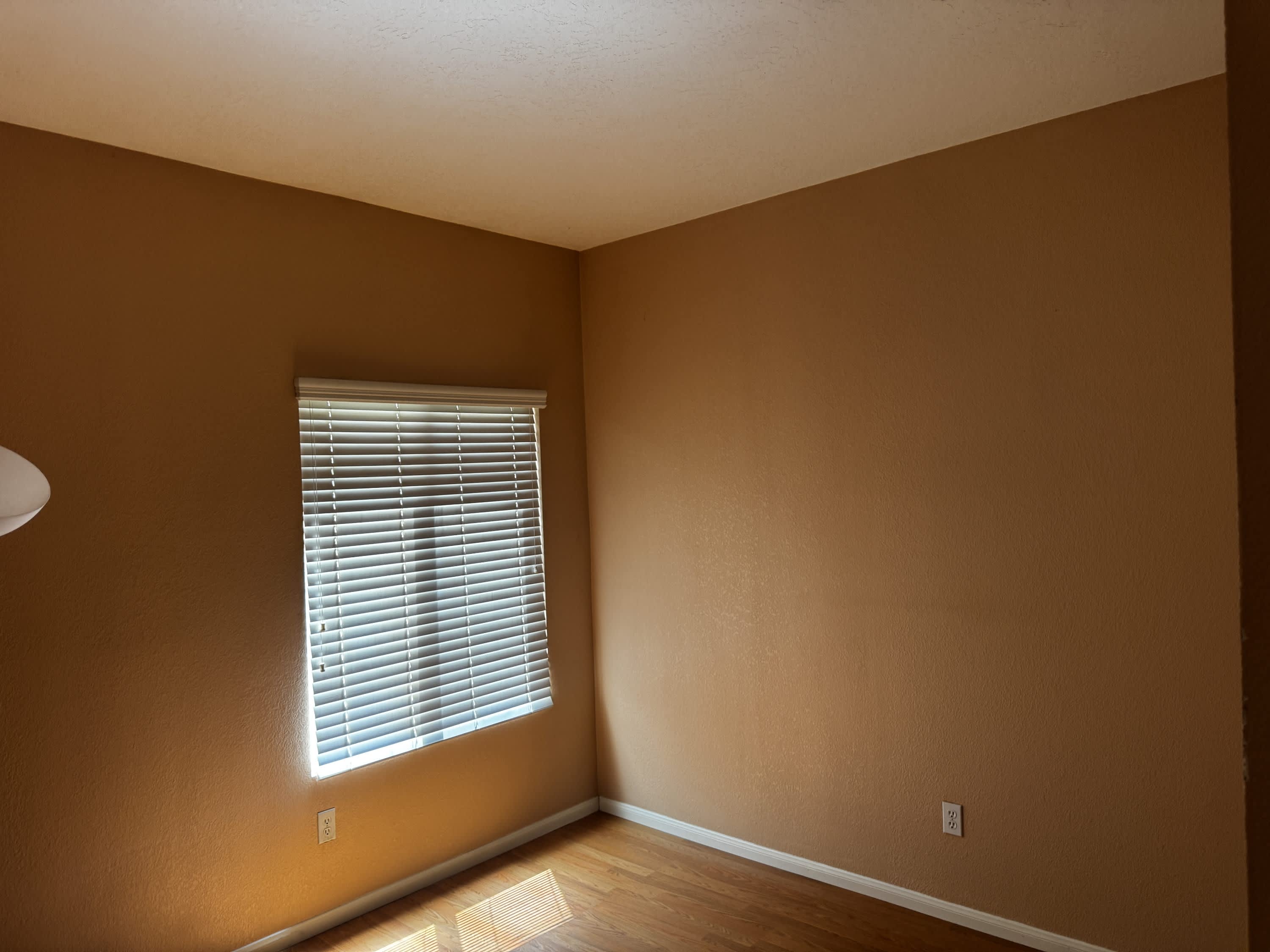 14724 Rockrose Street – photo 5