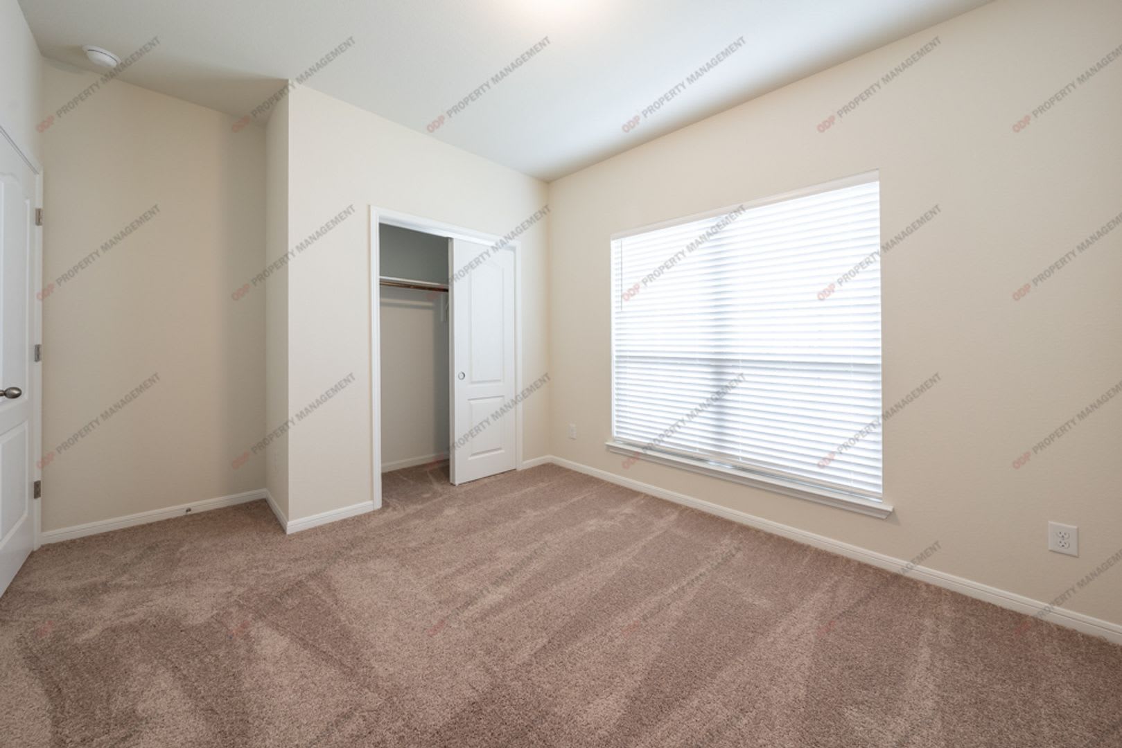 Large Home – photo 5