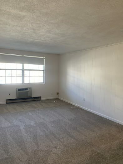 6 Viking Court – photo 4