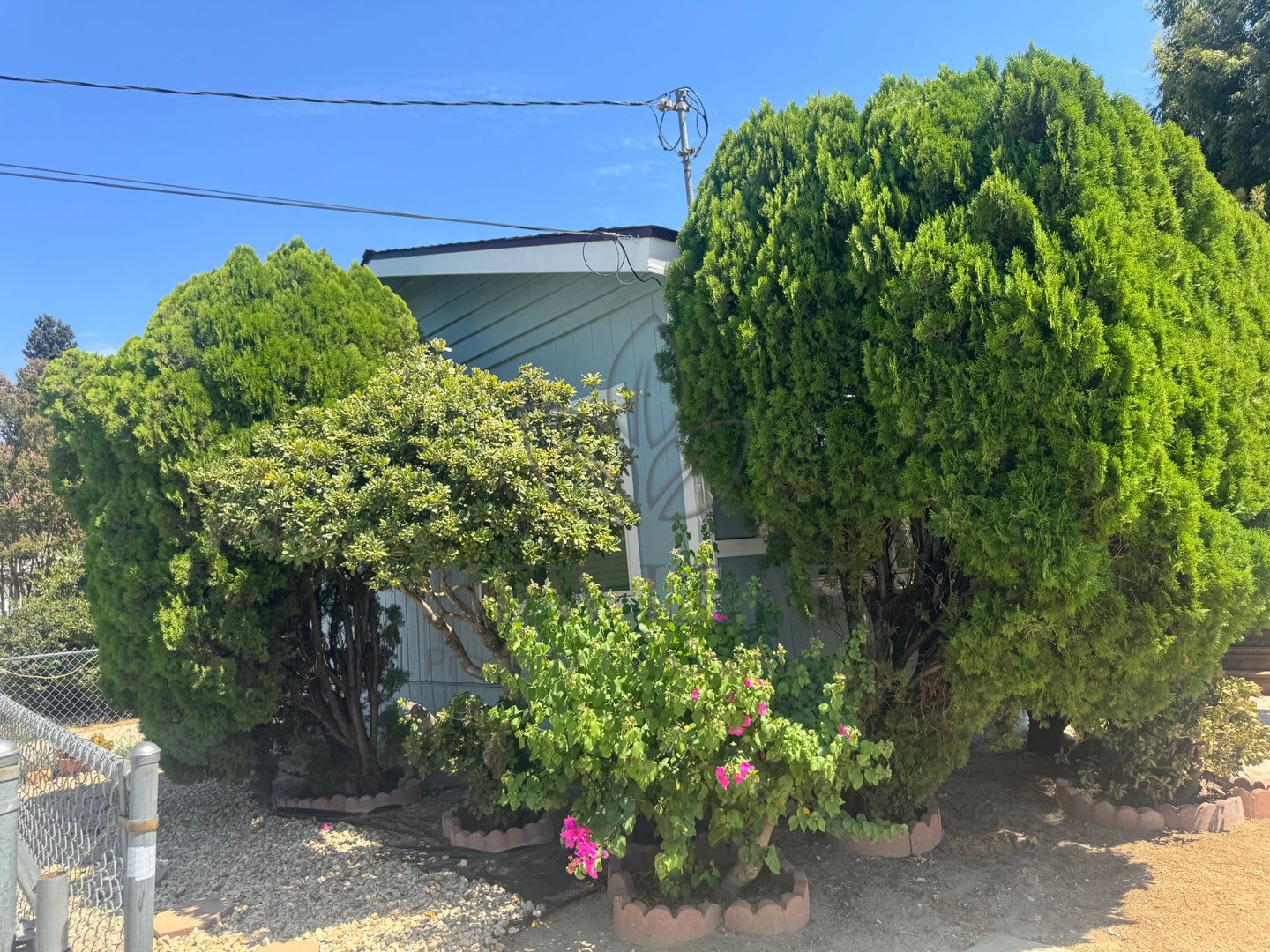 In the heart of Loma Linda – photo 5