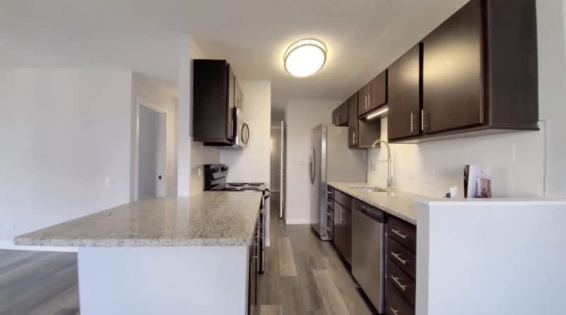 61 W Chestnut – photo 3