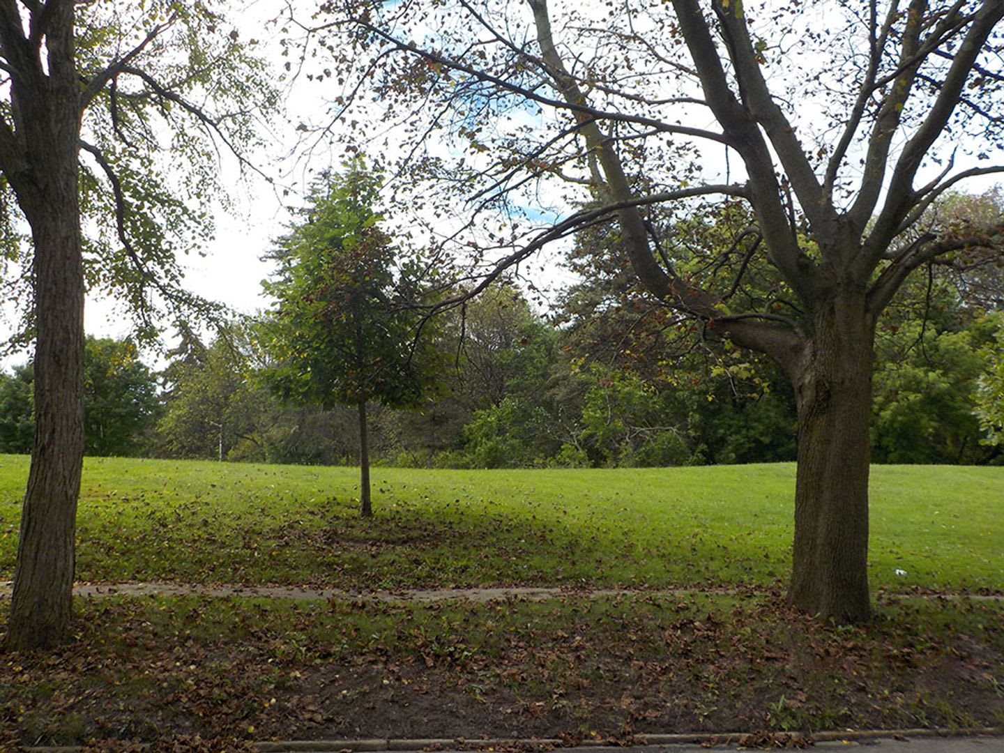 507 S Beech – photo 4
