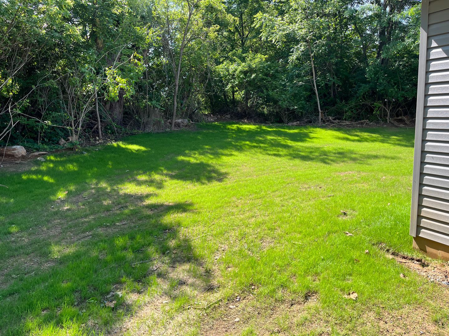 New Construction – photo 4