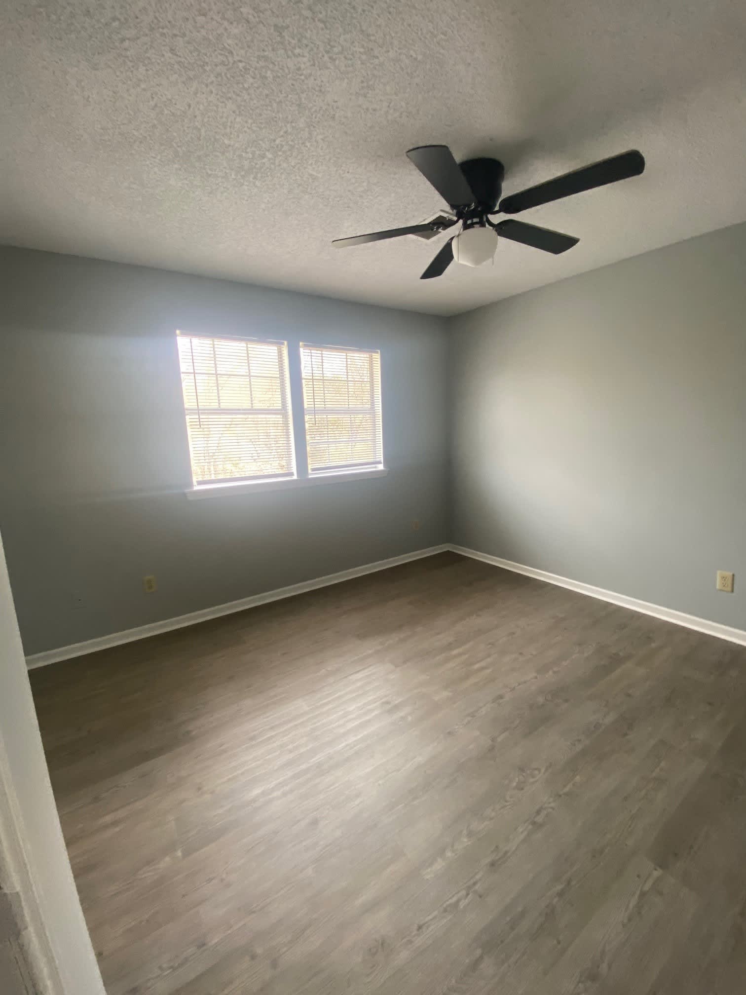 67 E Finch Ave, Apt. E – photo 5