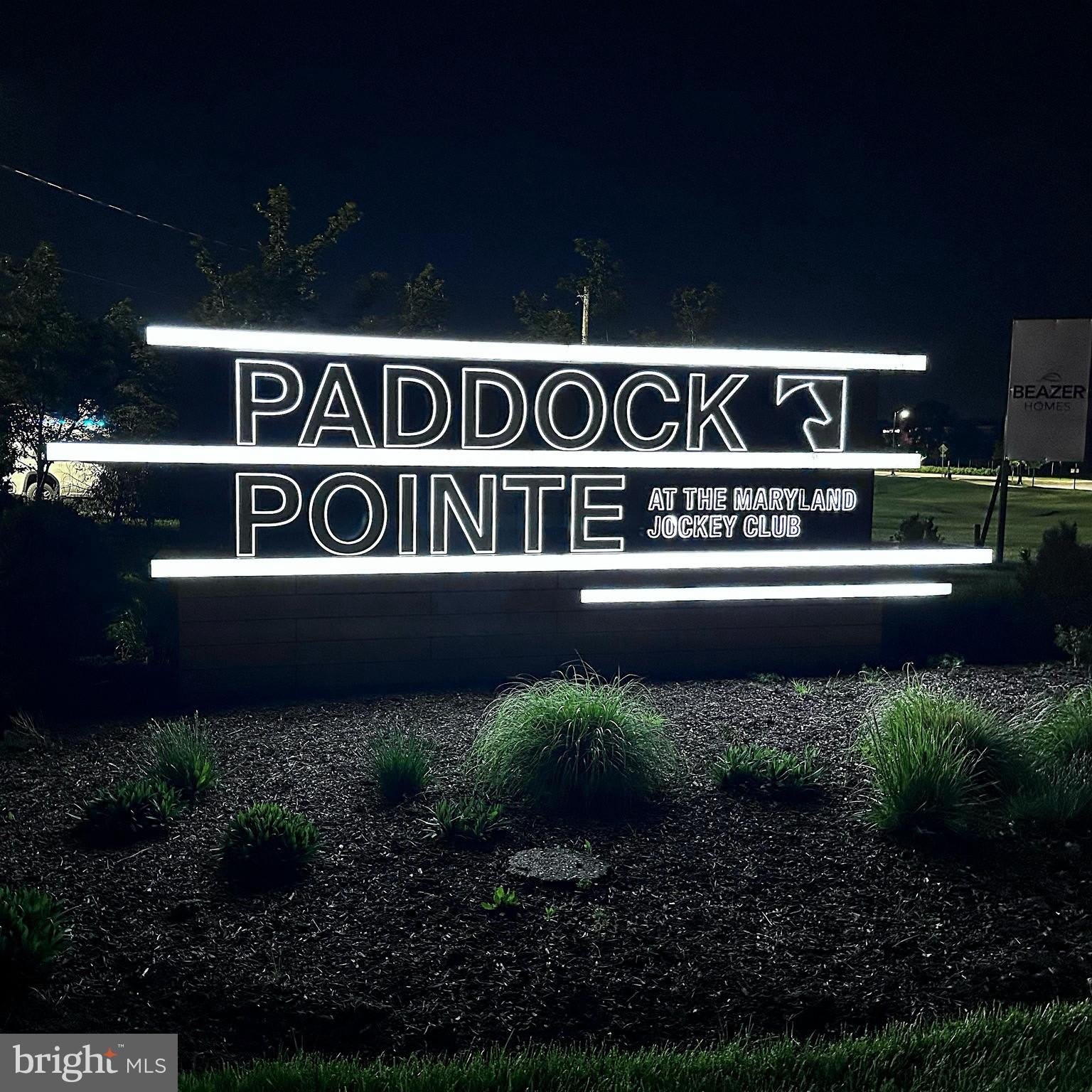 10110 Seattle Slew Lane – photo 2