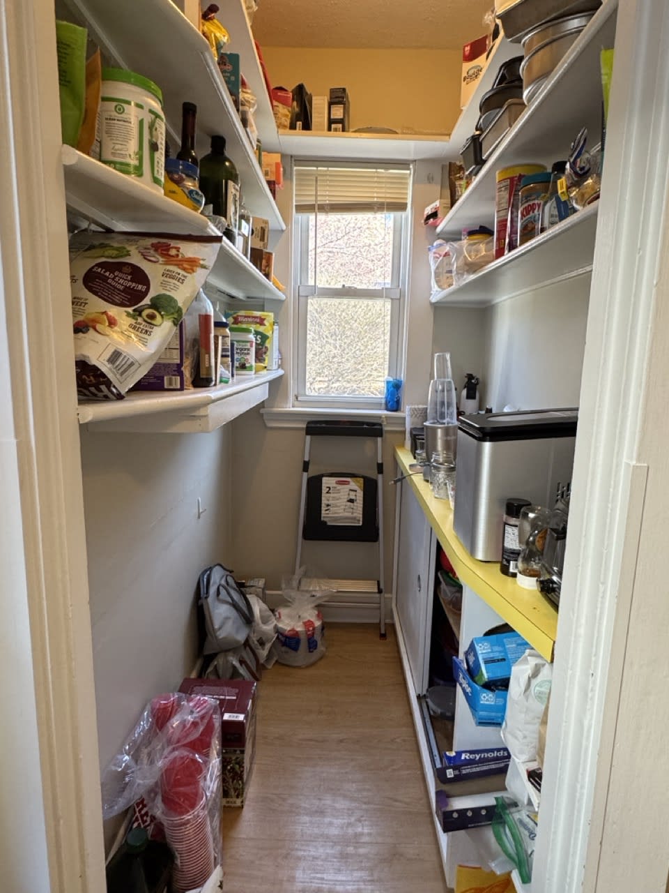 19 Malvern Ave – photo 3