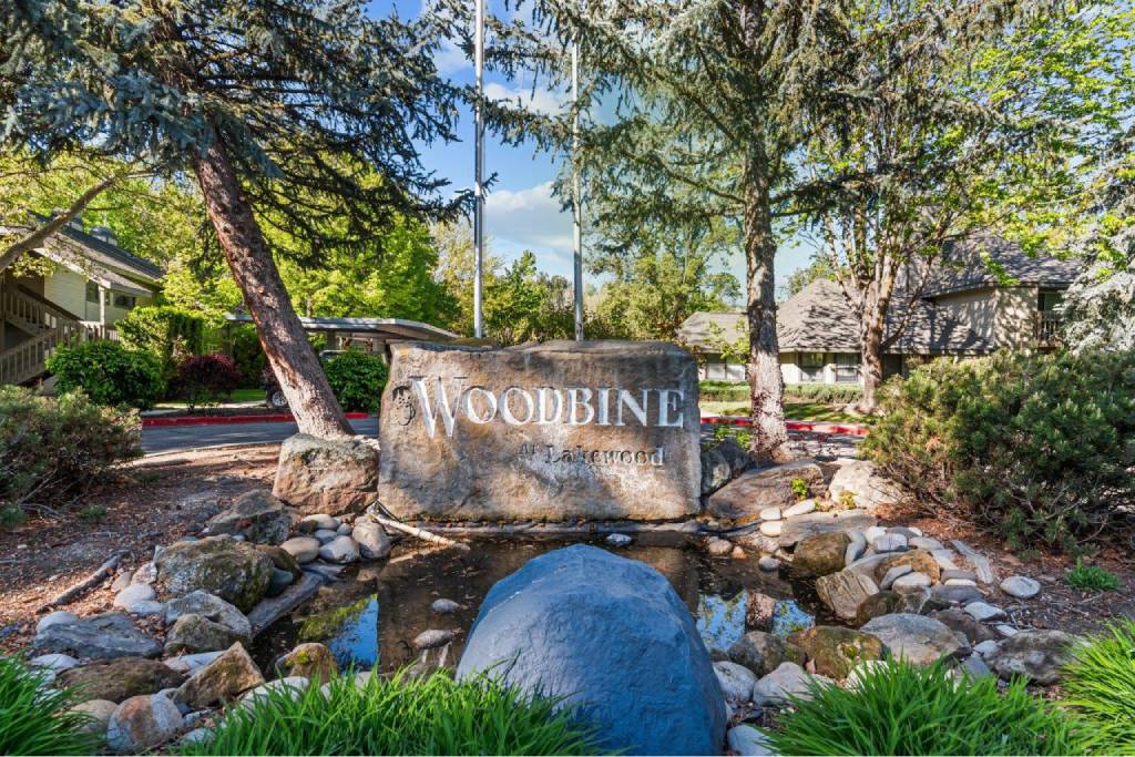 Woodbine – photo 1