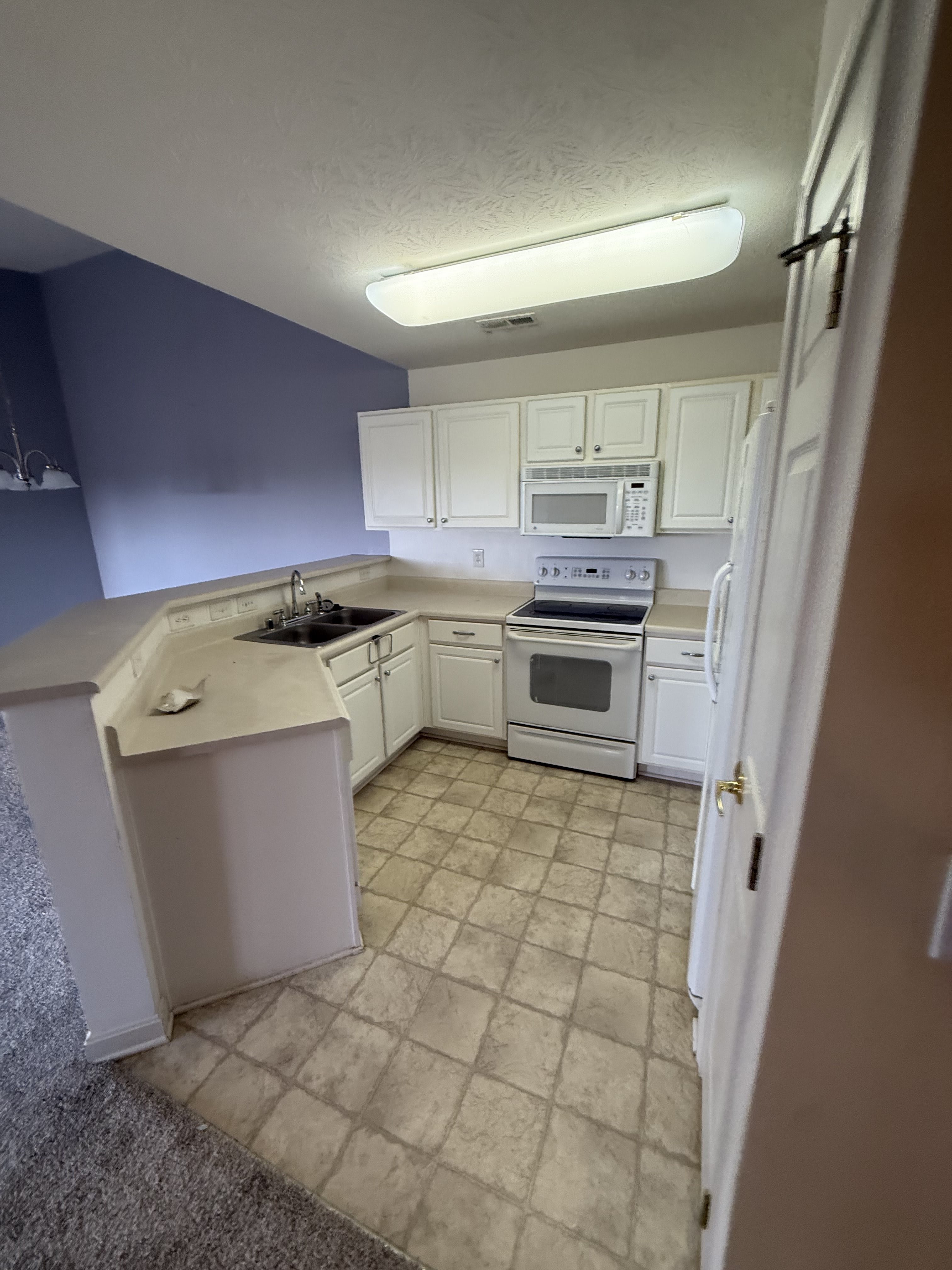 969 Mistflower Ln – photo 4