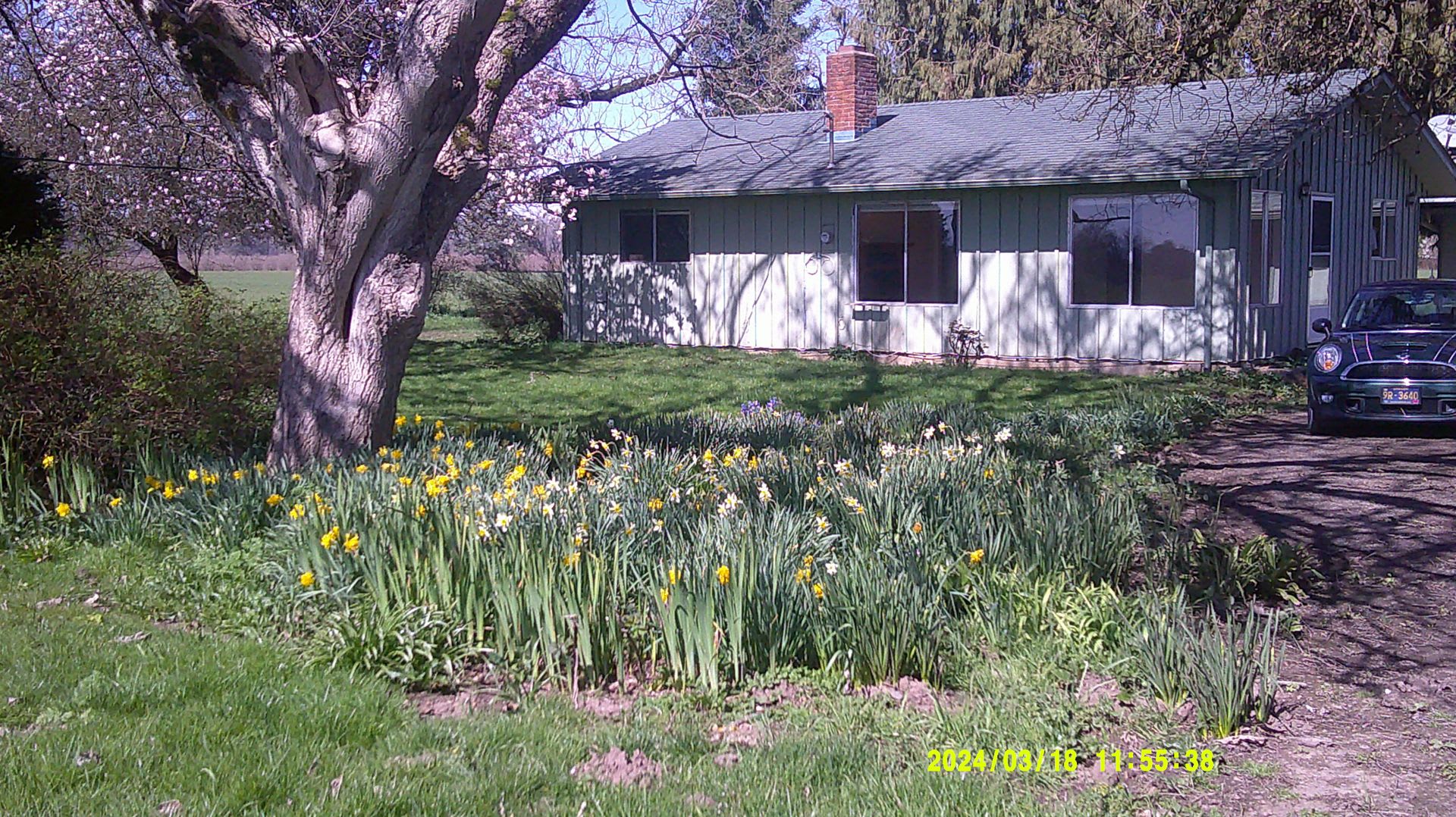 Quiet Country Home – photo 2