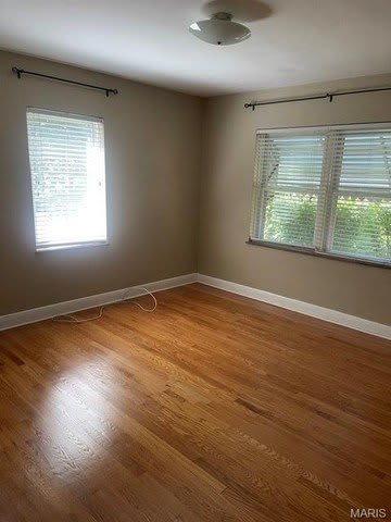 253 Turf – photo 4