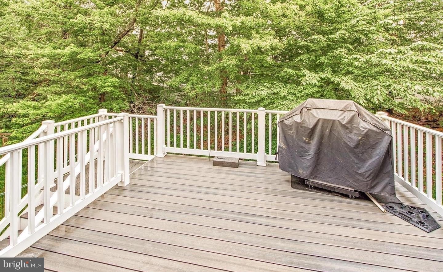 22420 DARK STAR Way – photo 4