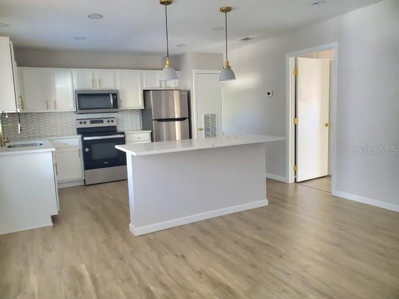4390 Sibley Bay Street – photo 5