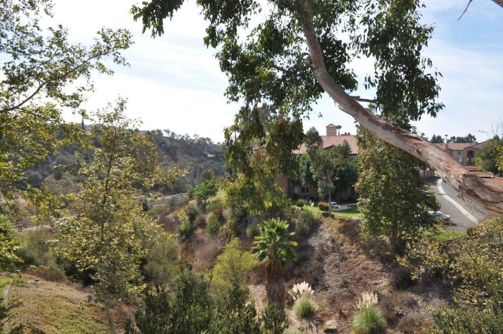 Dual Master Suite in the Cape La Jolla Gardens Community of UTC – photo 2