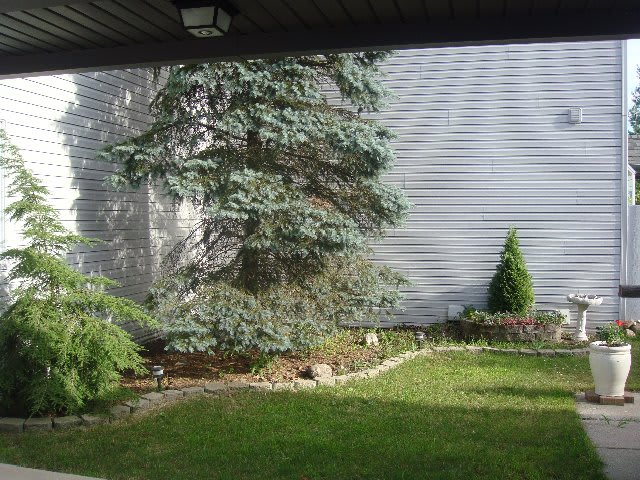 2763 Monte Vista Avenue – photo 2