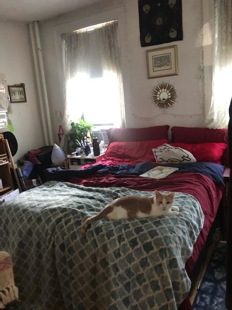 Huge 4 bed in Allston – photo 5