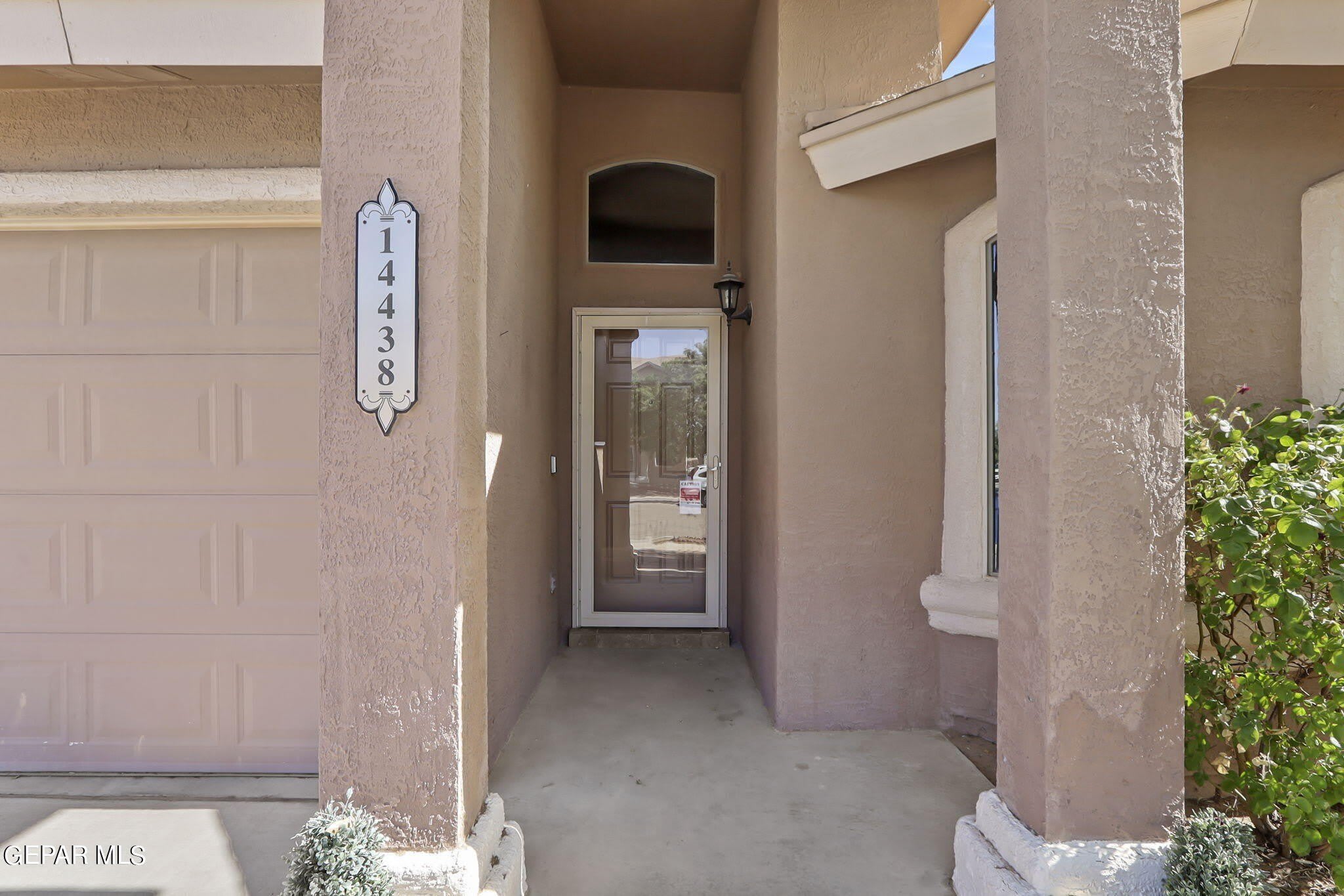 14438 MIGUEL TERRAZAS Drive – photo 5