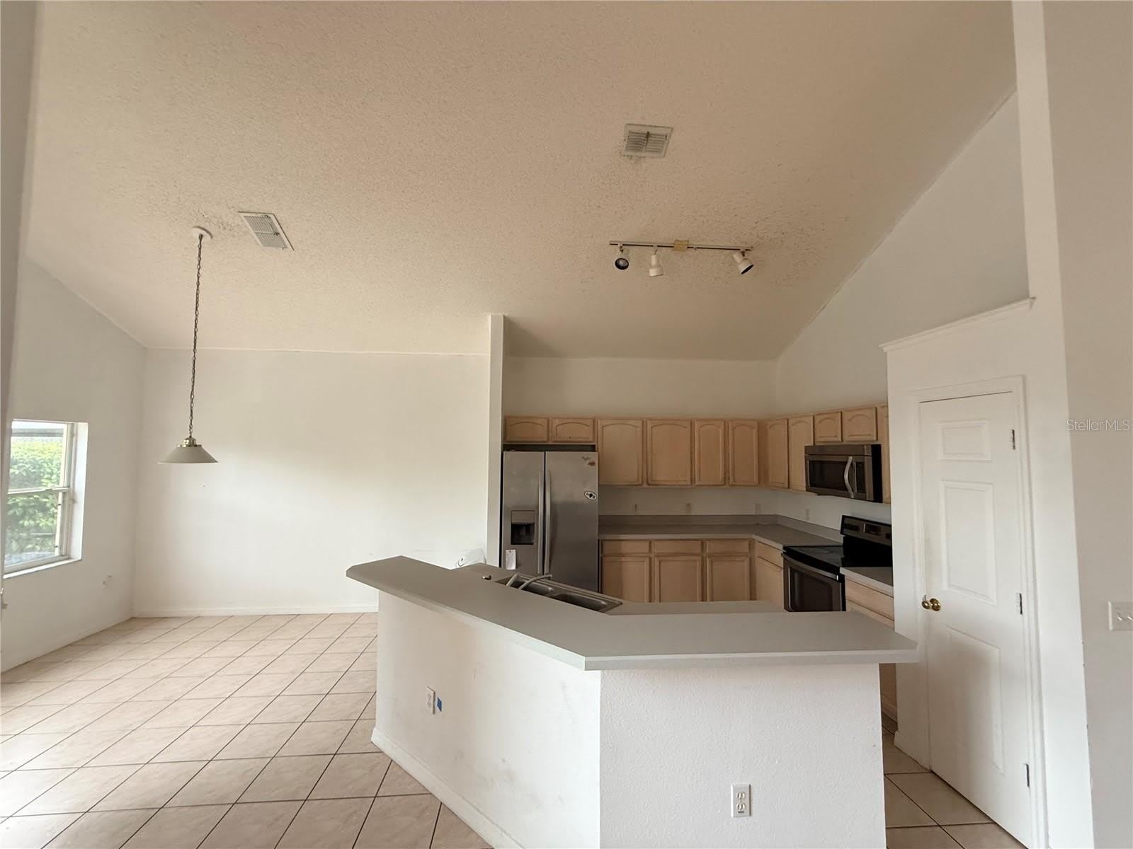 2918 BLOOMING ALAMANDA Loop – photo 2