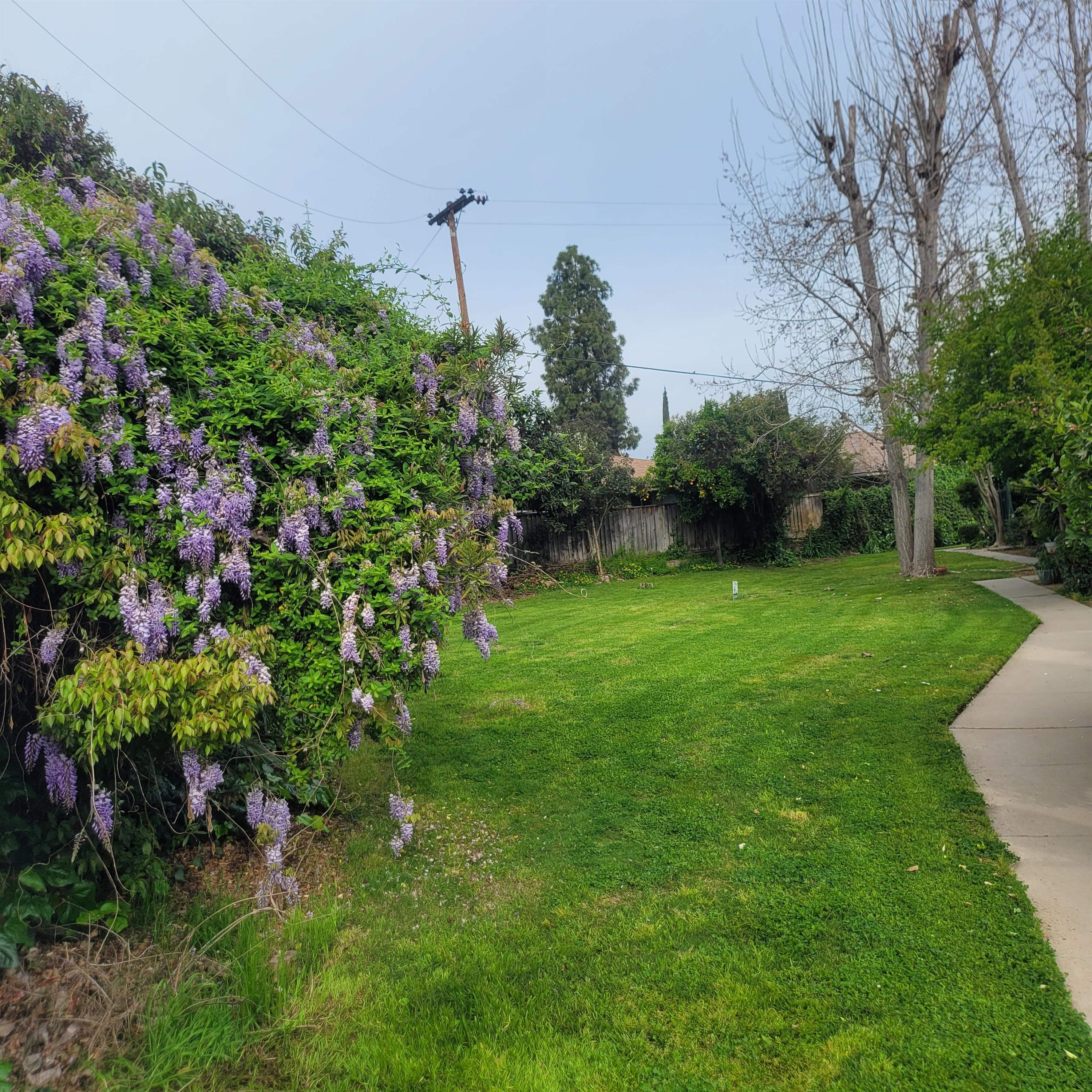 1738 W. Shaw Ave-G – photo 4