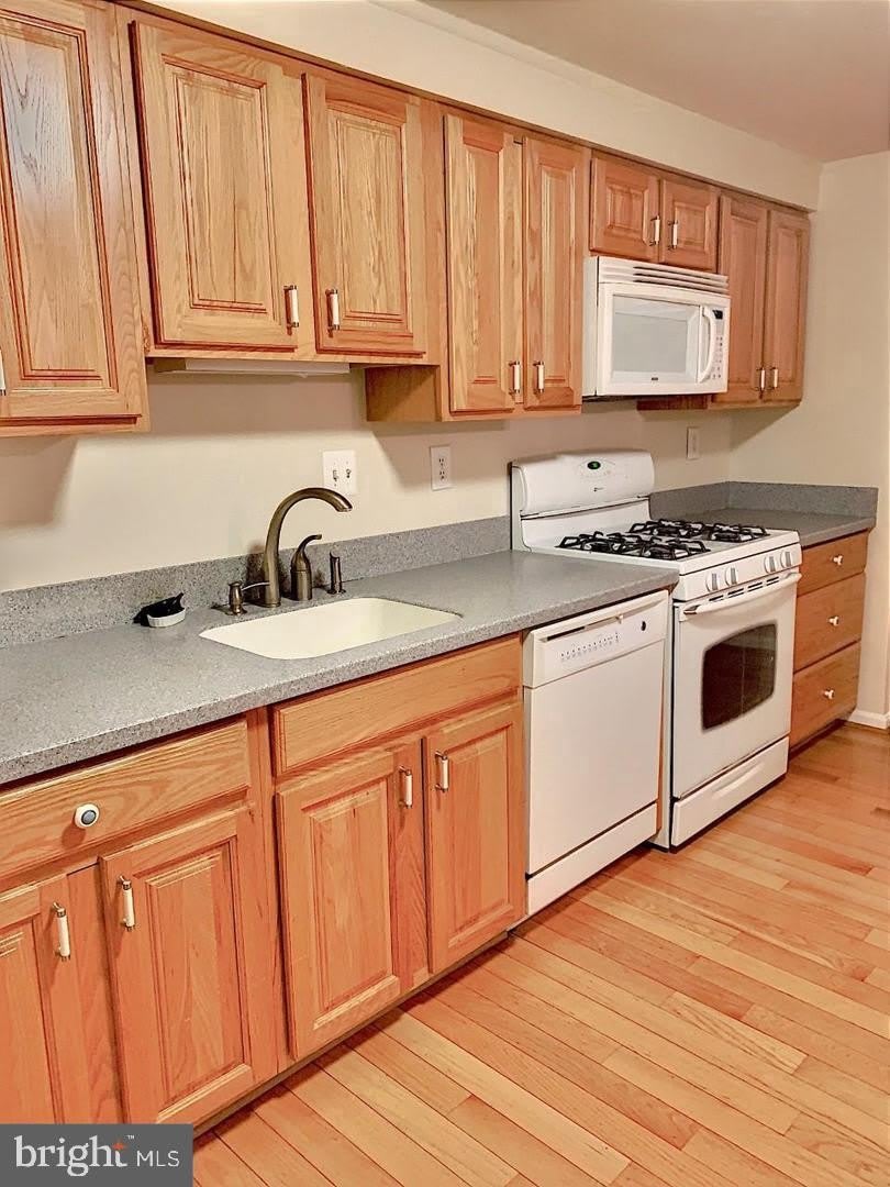 3100 BLACK HICKORY Drive – photo 3