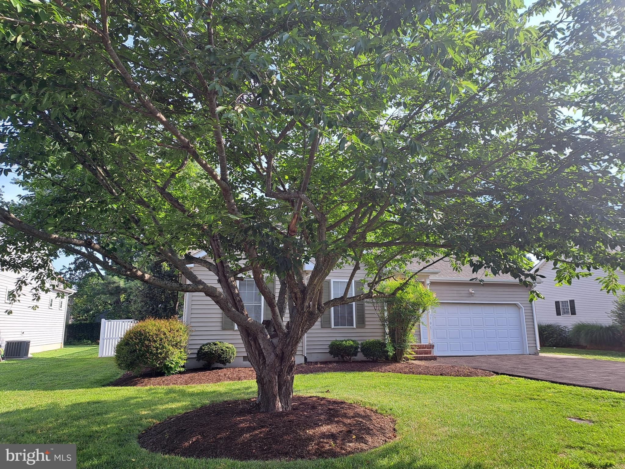 107 STRAWBERRY Way – photo 3