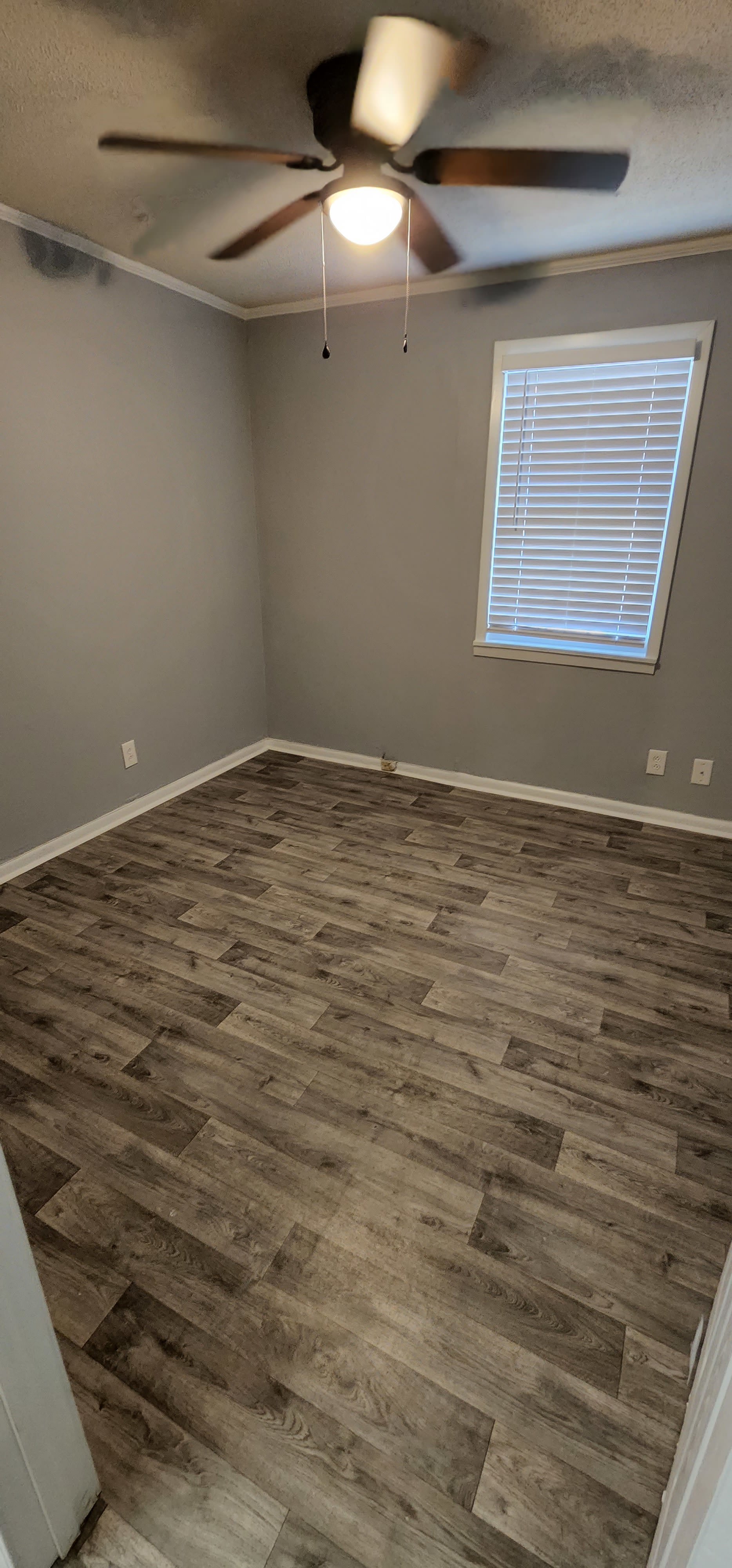 4208 Owl Street – photo 4