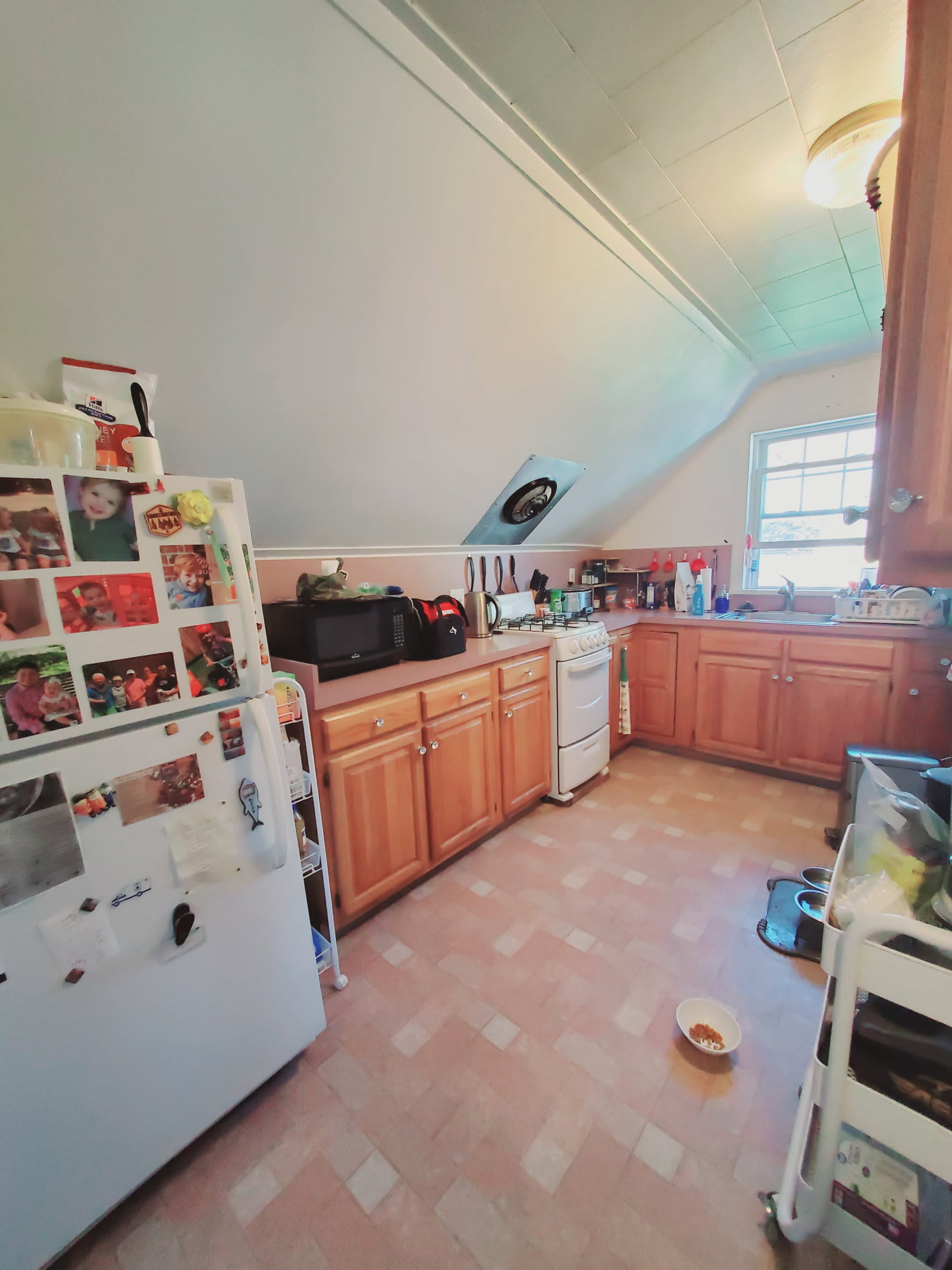 219 Courtland Avenue – photo 2