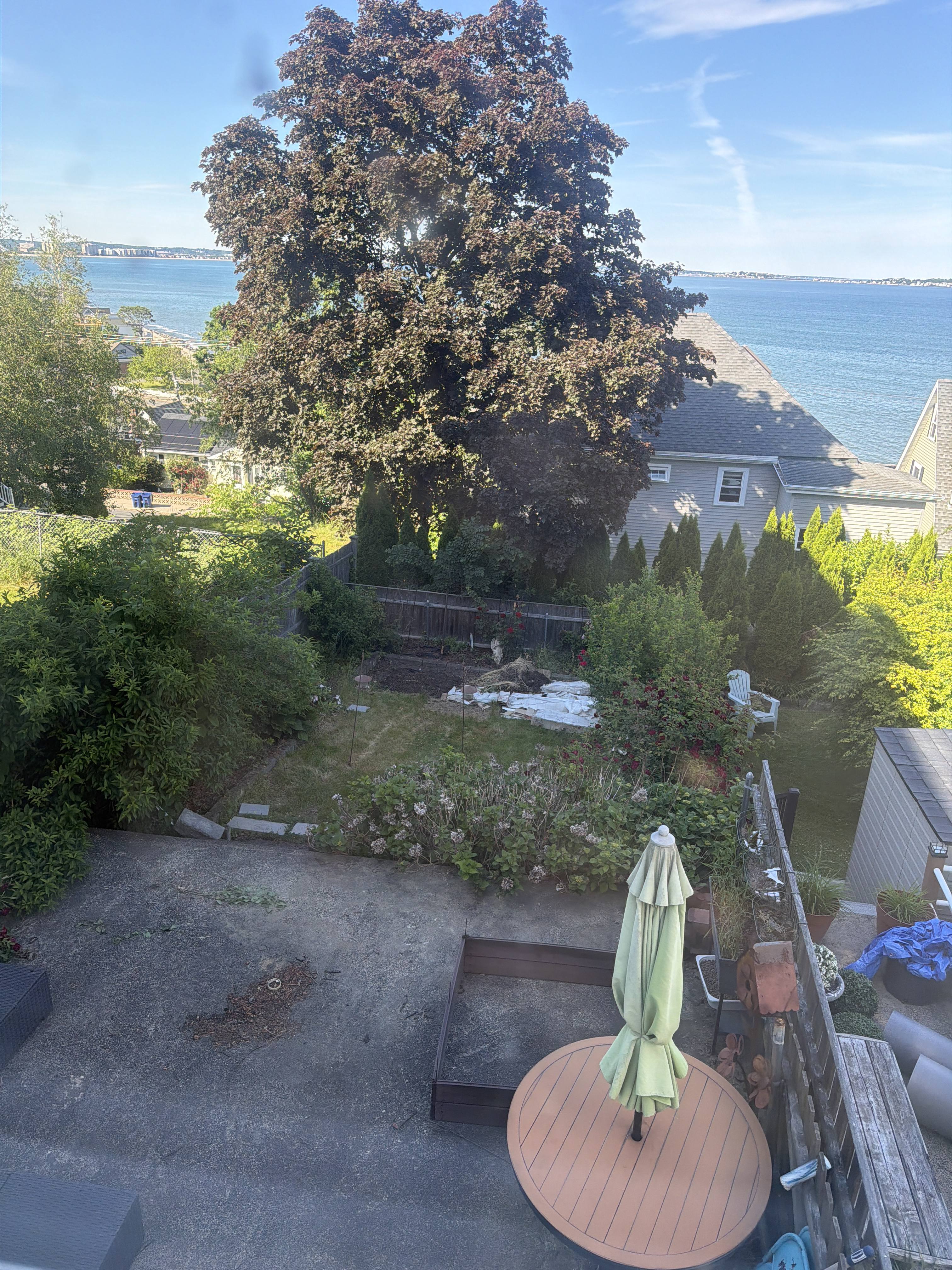 190 Bellingham Ave – photo 4