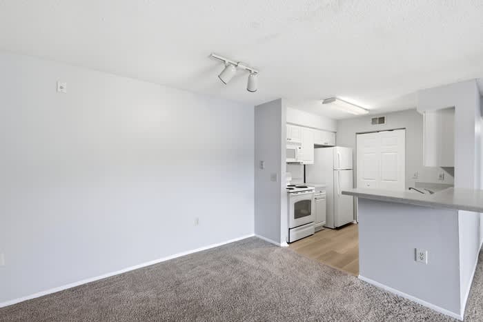 1229 Bermuda Lakes Lane – photo 5