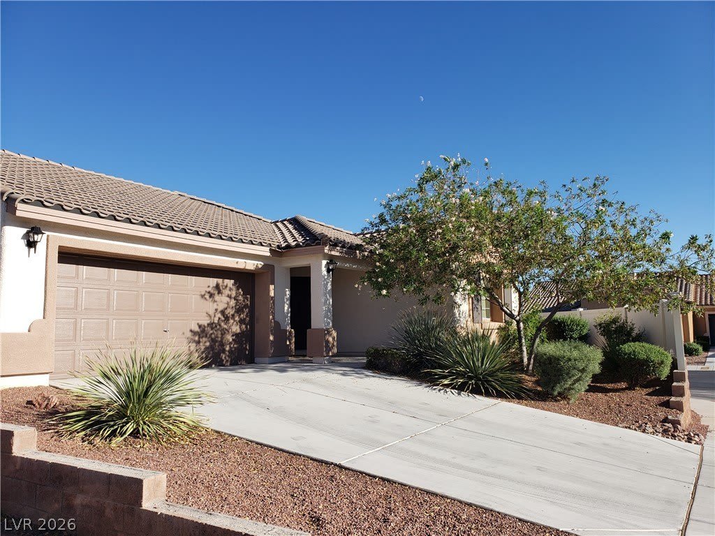 7876 CROWNBEARD Street – photo 4