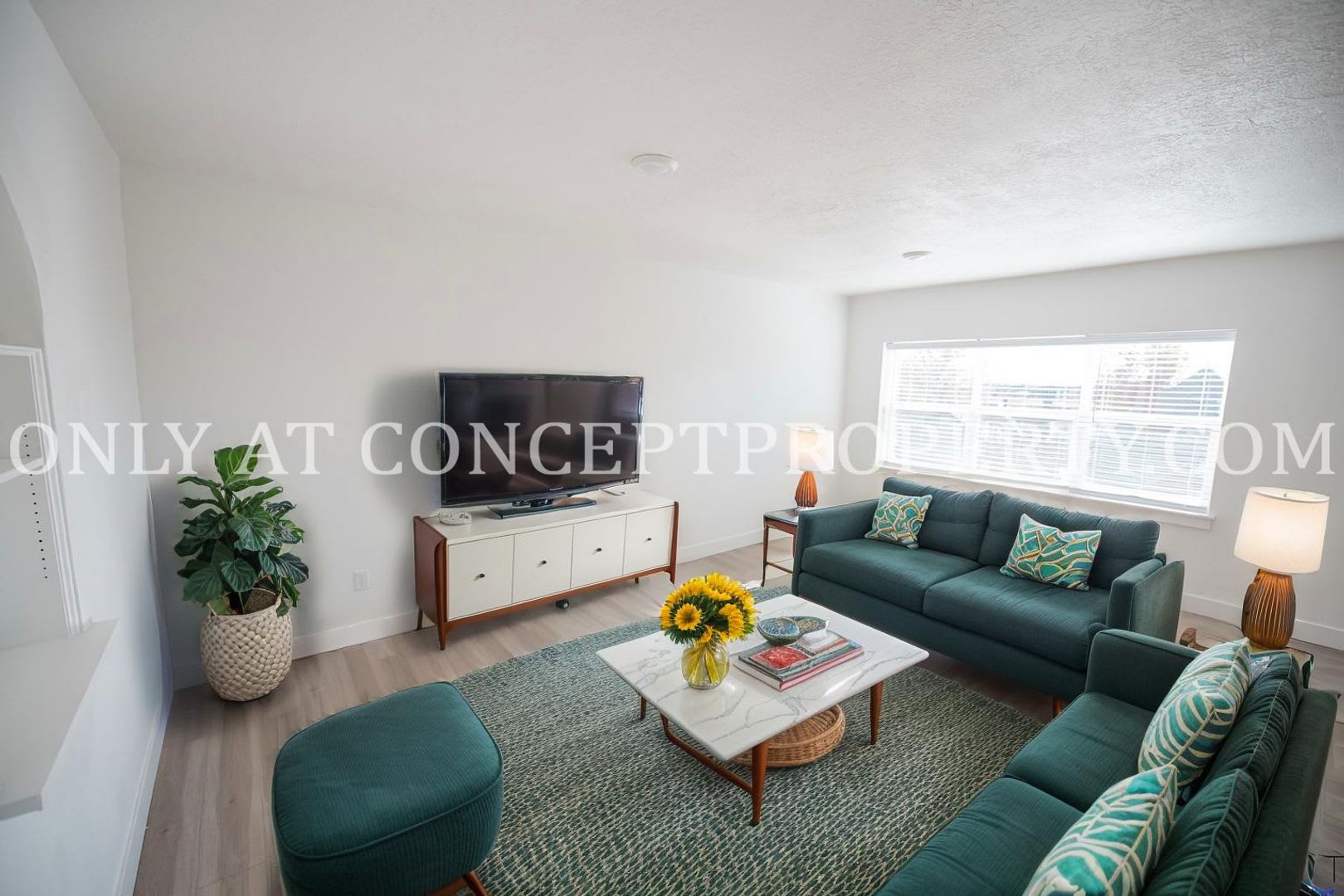 Stratton Apts Free Rent Until Jan 1St Oac – photo 2