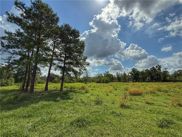 43058 HAPPYWOODS Road – photo 1