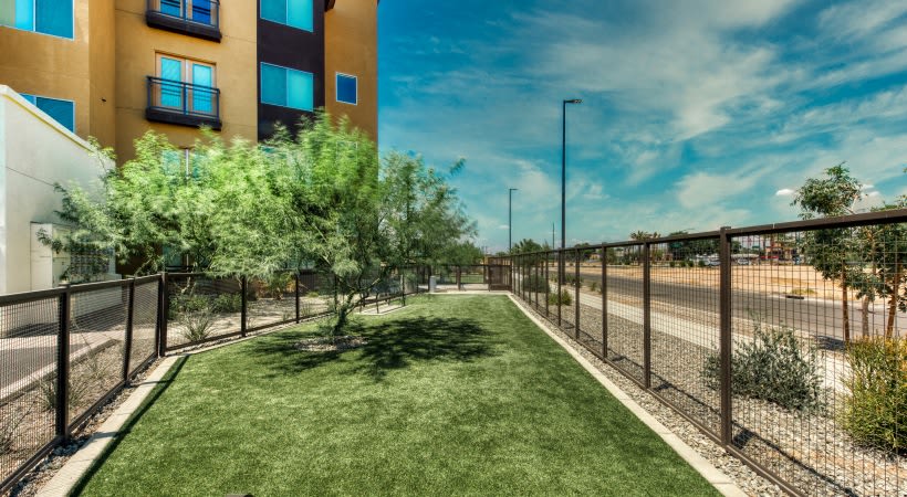 Elevation San Tan – photo 4