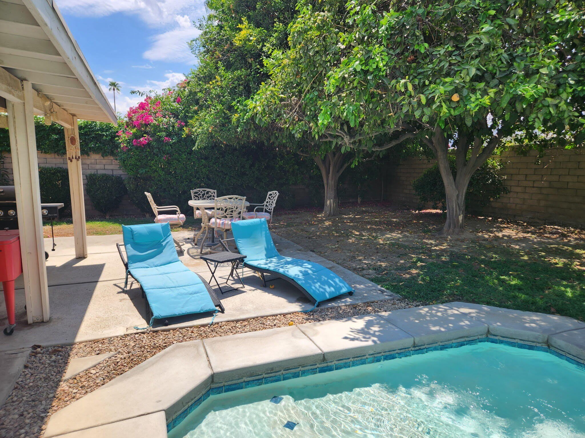 43101 Balsam Lane – photo 1