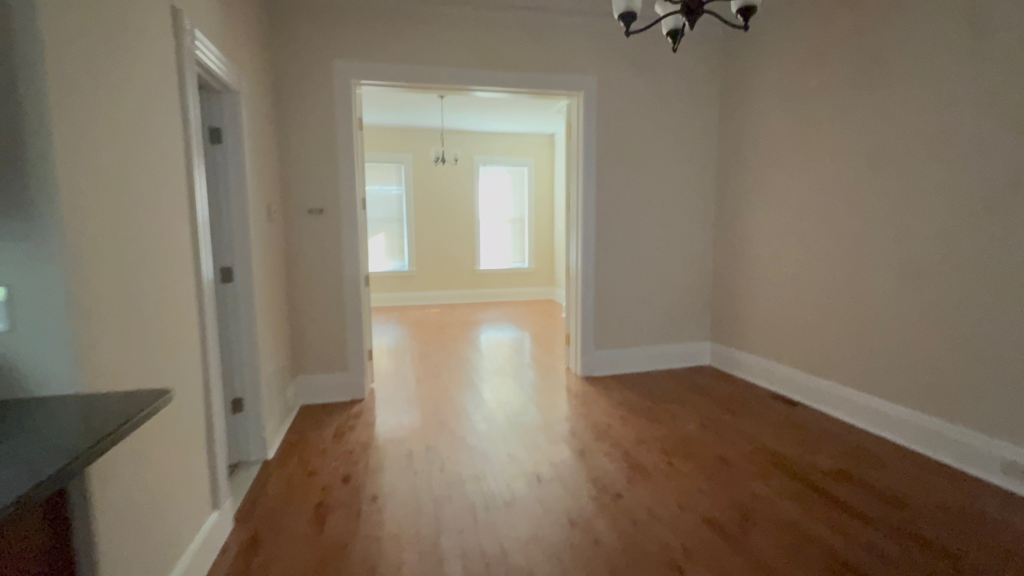 224 Dodd Street – photo 4