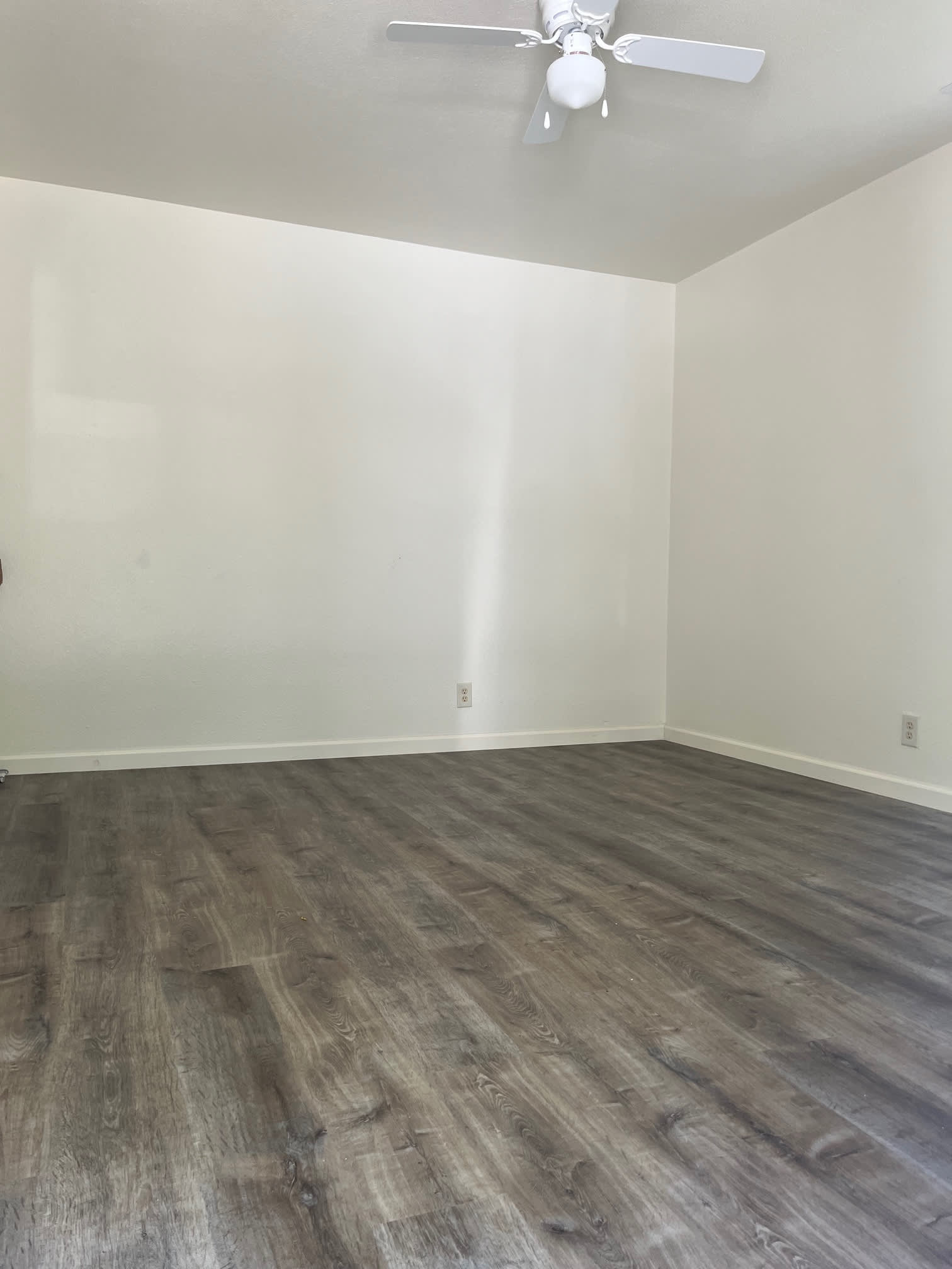 5911 Poplar Drive #A – photo 4