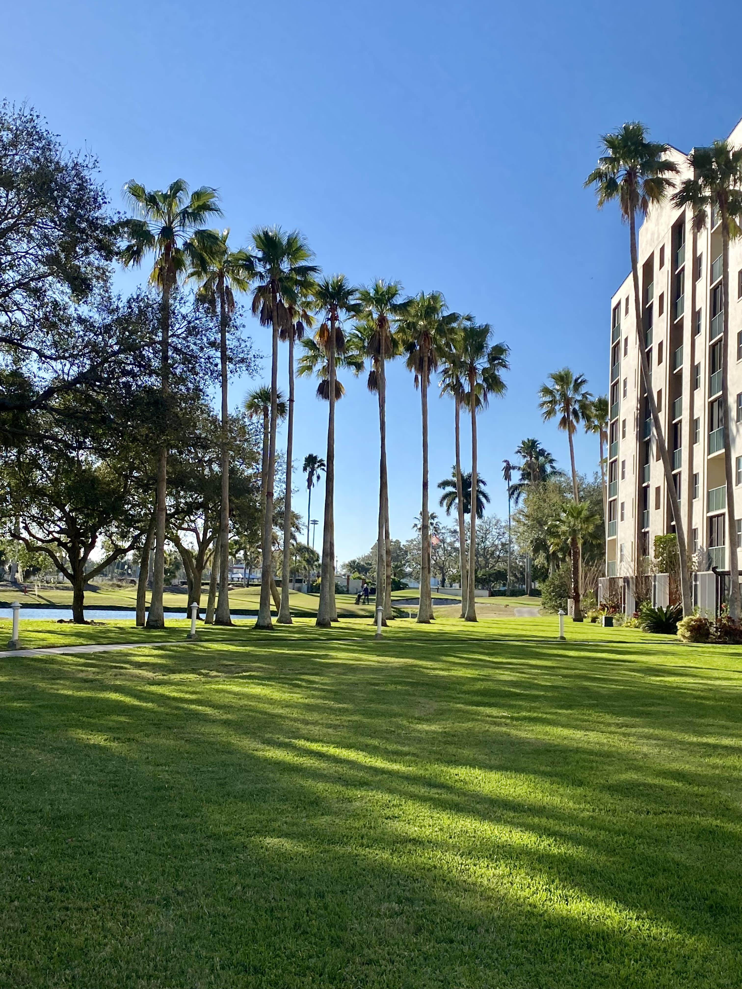 2320 Terra Ceia Bay Boulevard – photo 5
