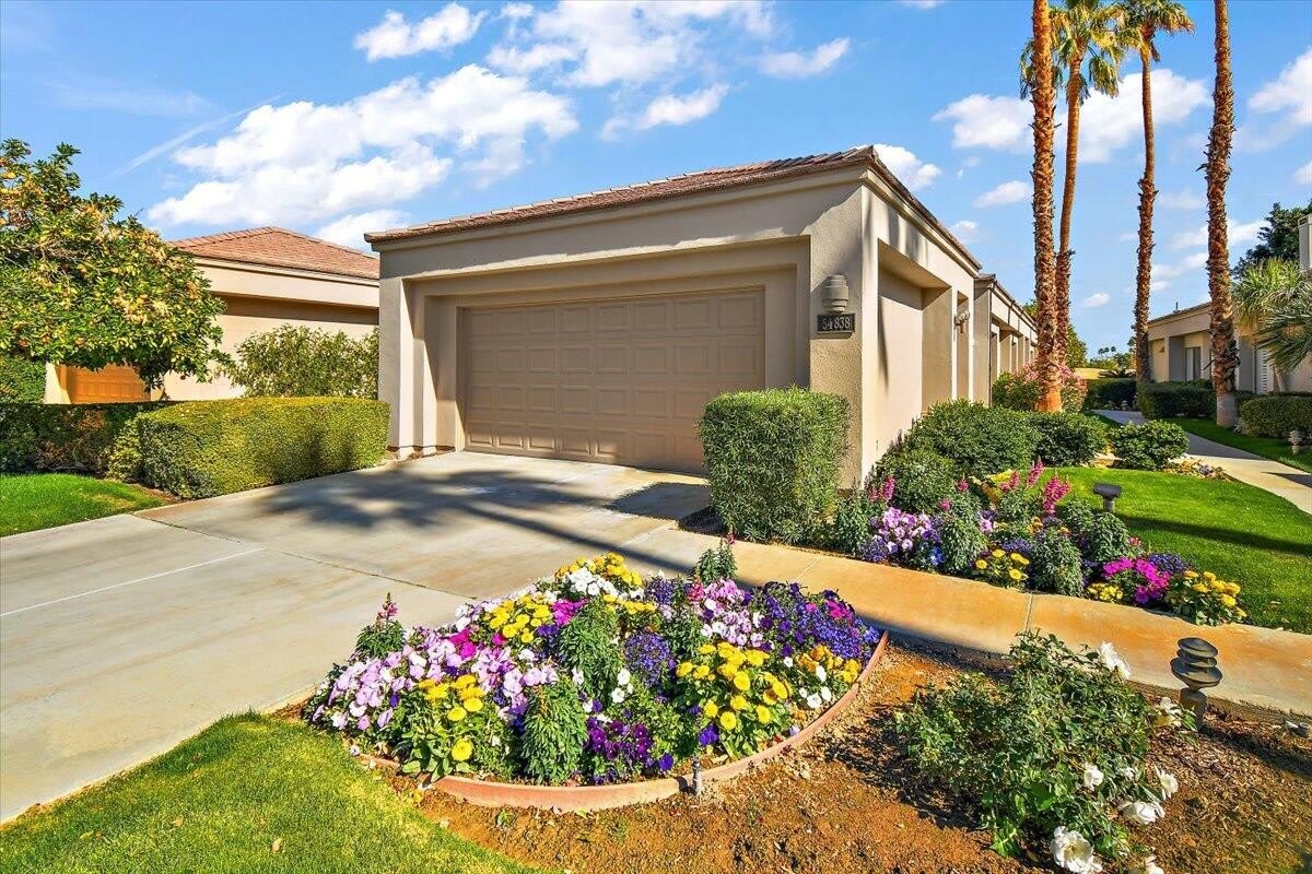 54838 Oak Tree – photo 2