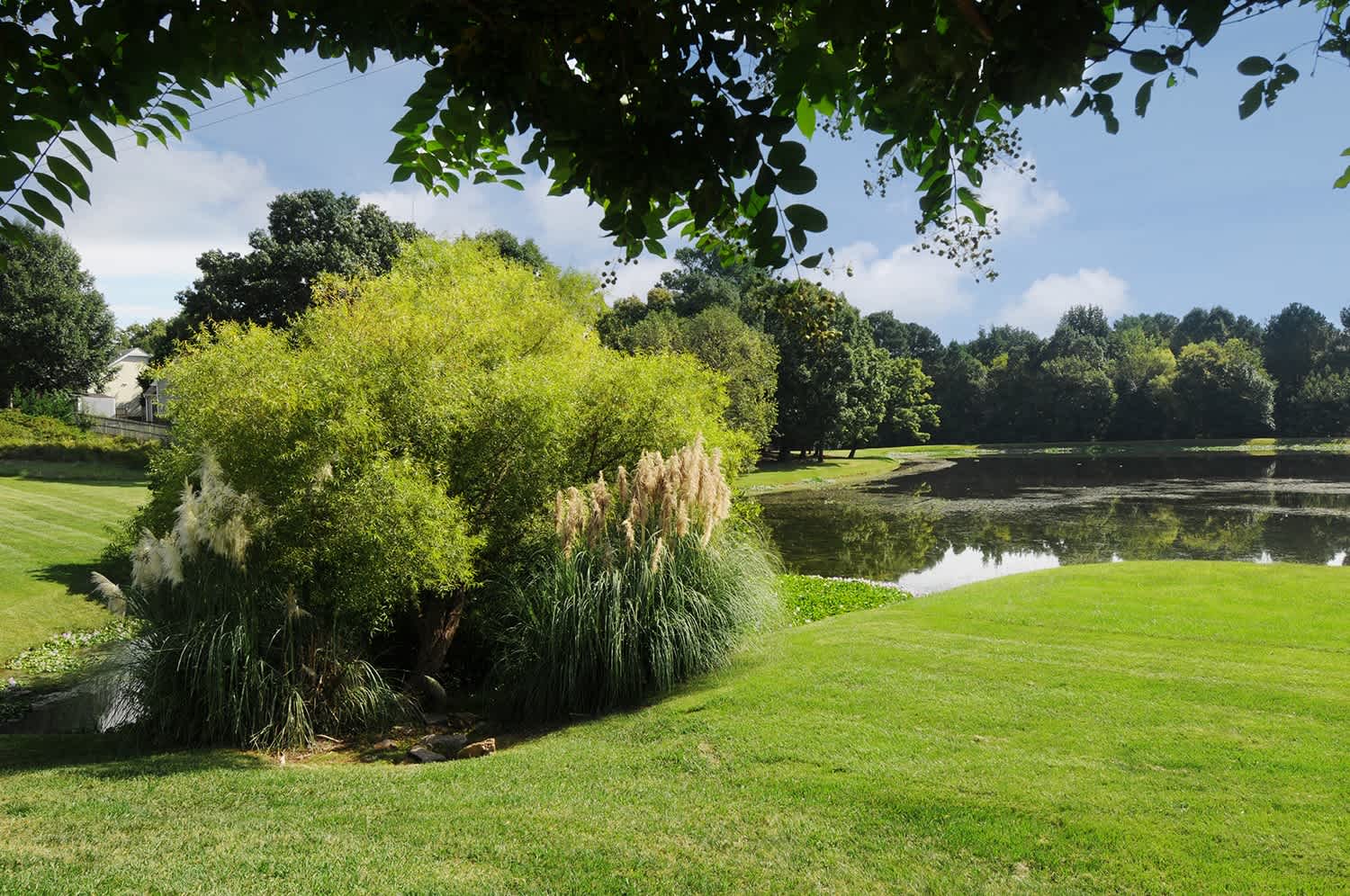 Brookefield – photo 3