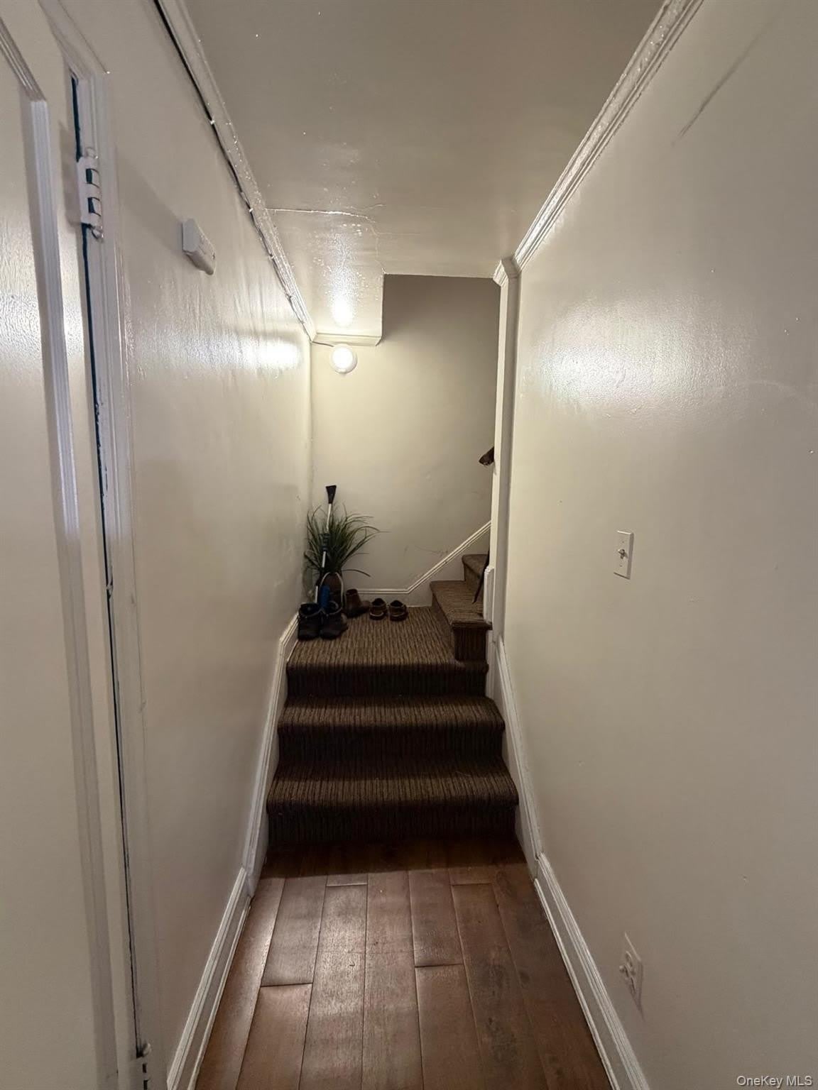 134 Stuart Avenue – photo 4