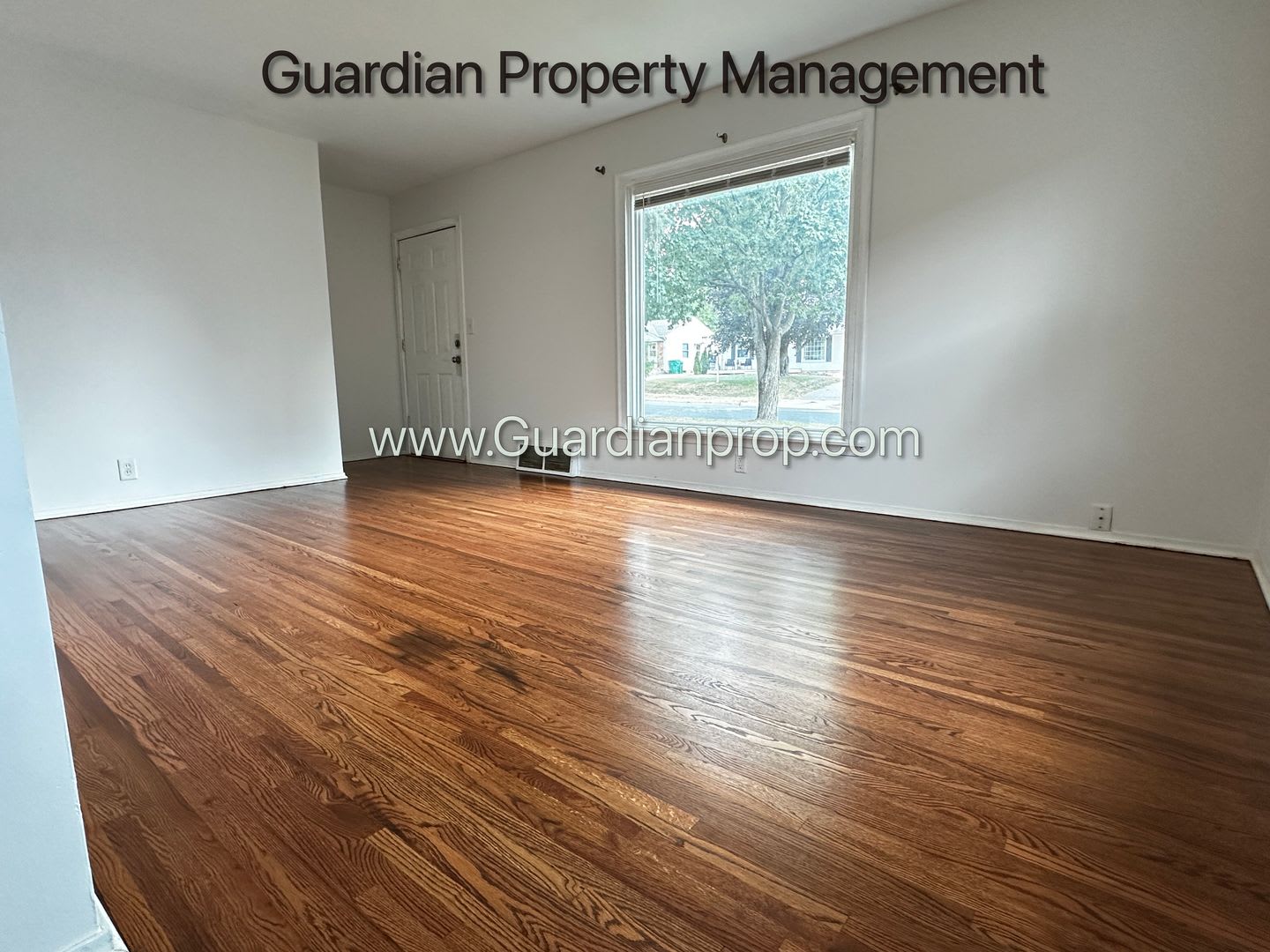 St Louis Park Single Family Home, 2 Baths, Office, Newly Finished Hardwood Floors – photo 4