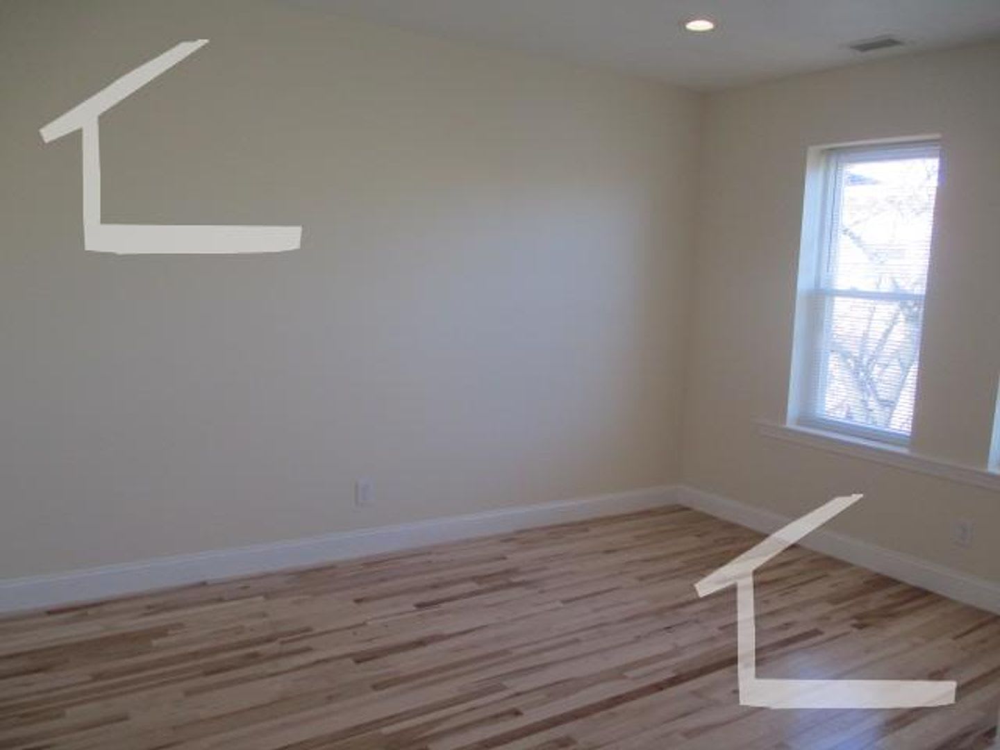 Huge, updated, sunny 5 bed in Coolidge Corner for 9/1! – photo 5