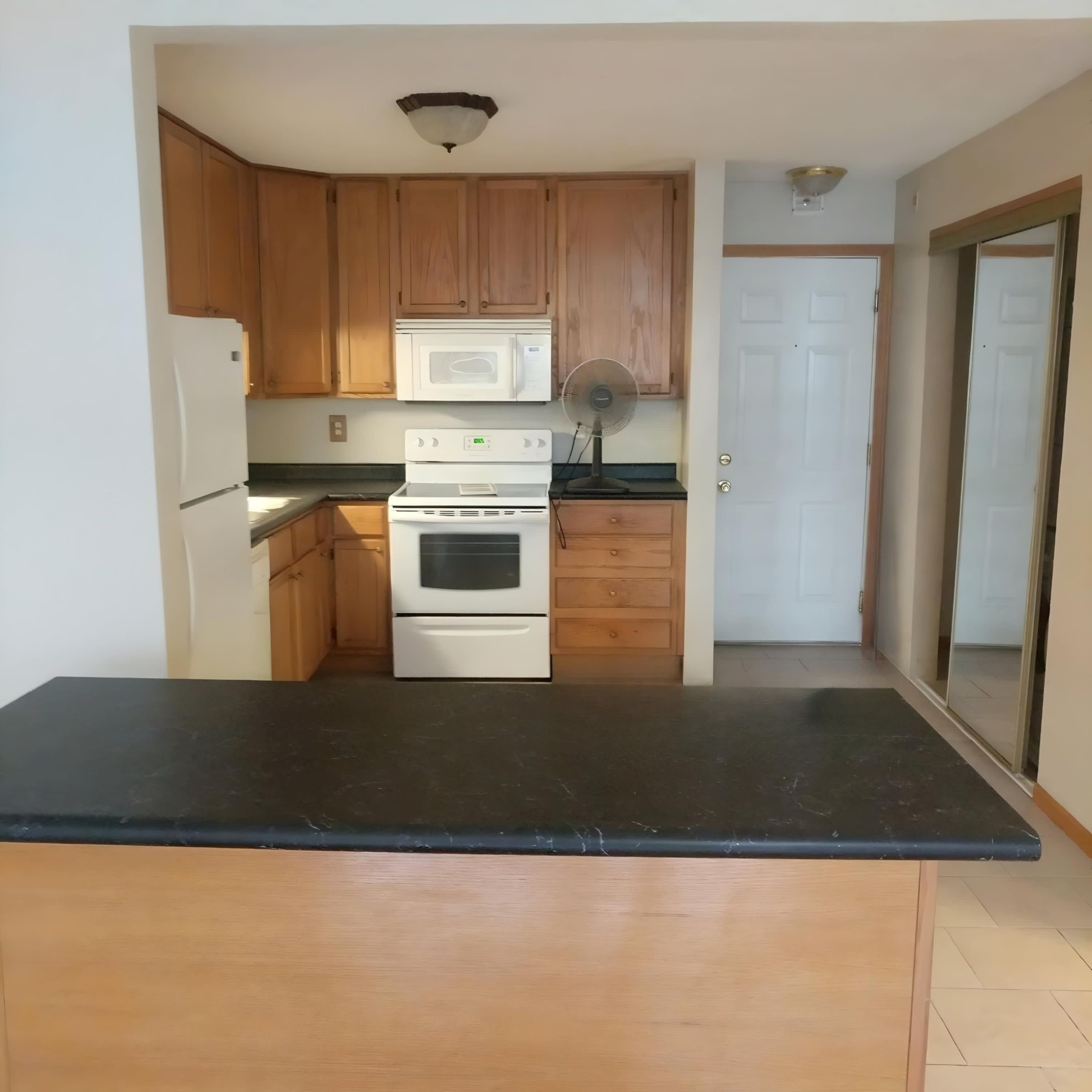 976 Robert Street – photo 4